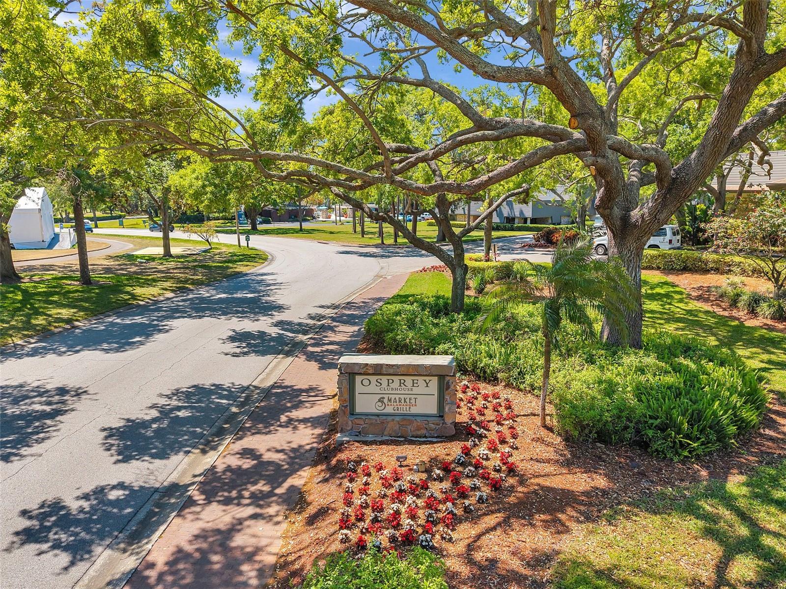 36750 US 19 N #2763 — photo 75