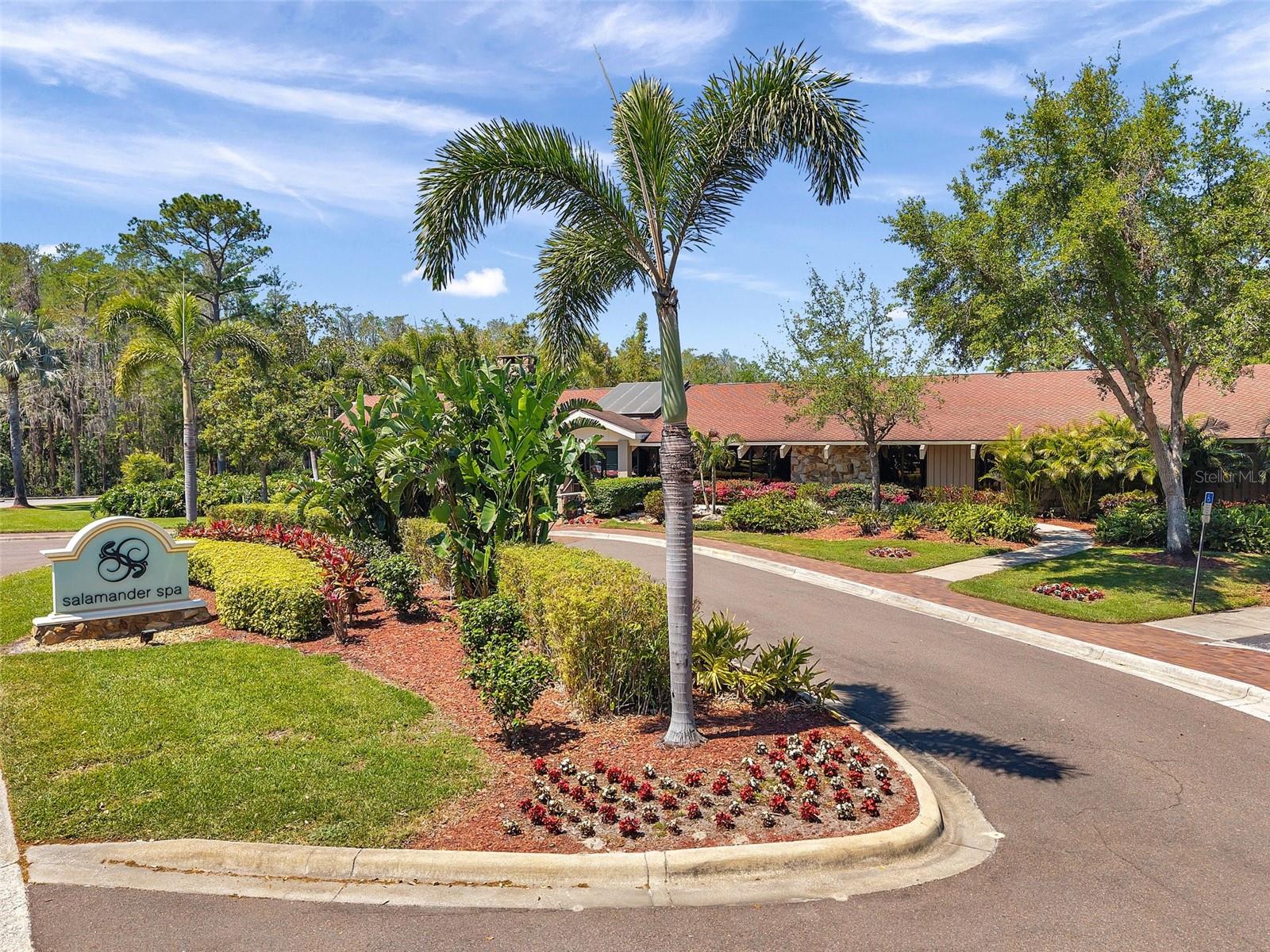 36750 US 19 N #2763 — photo 55