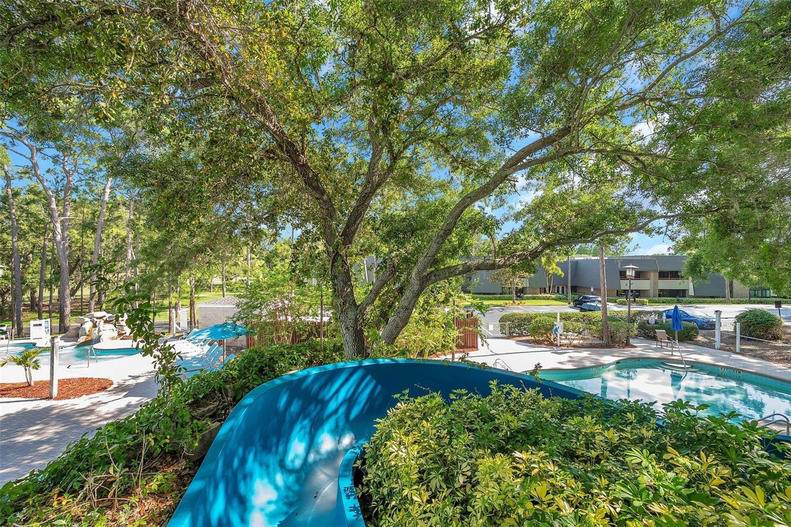 36750 US 19 N #2763 — photo 44