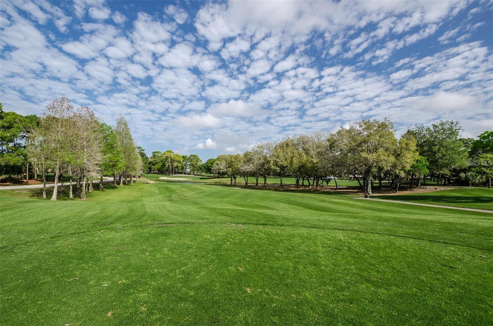 36750 US 19 N #2763 — photo 53