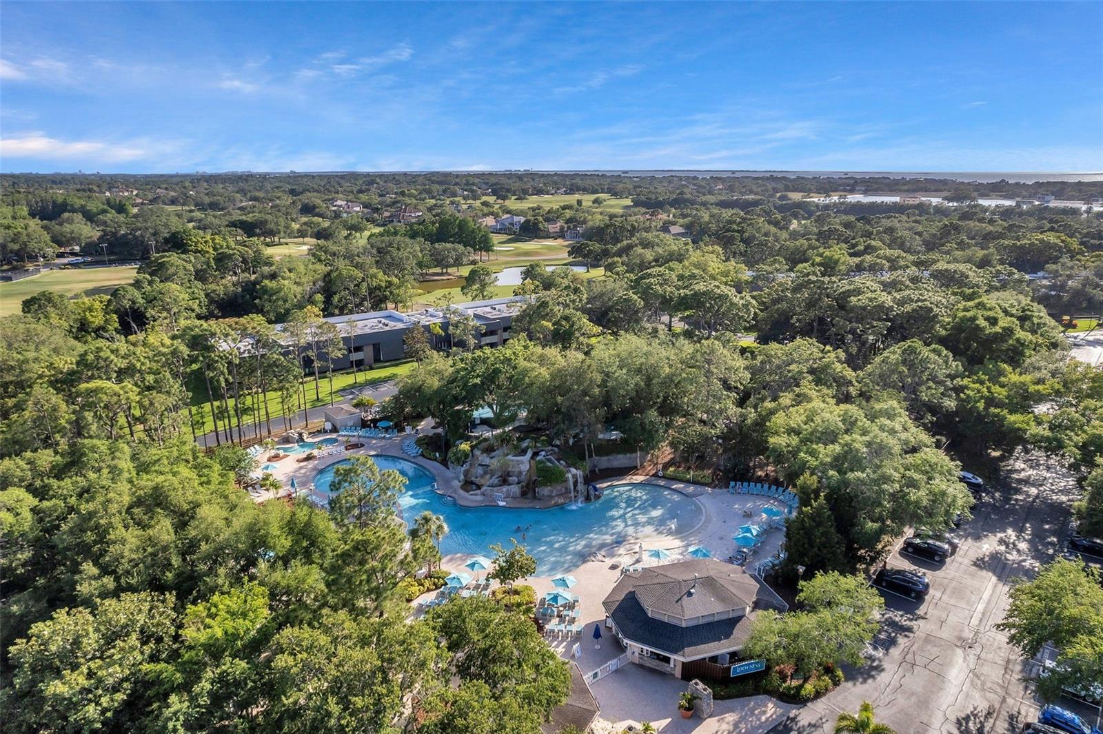 36750 US 19 N #2763 — photo 56