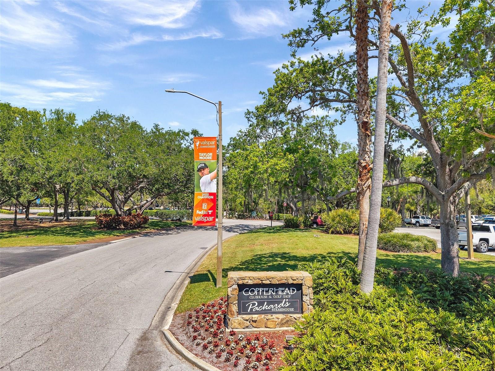 36750 US 19 N #2763 — photo 80