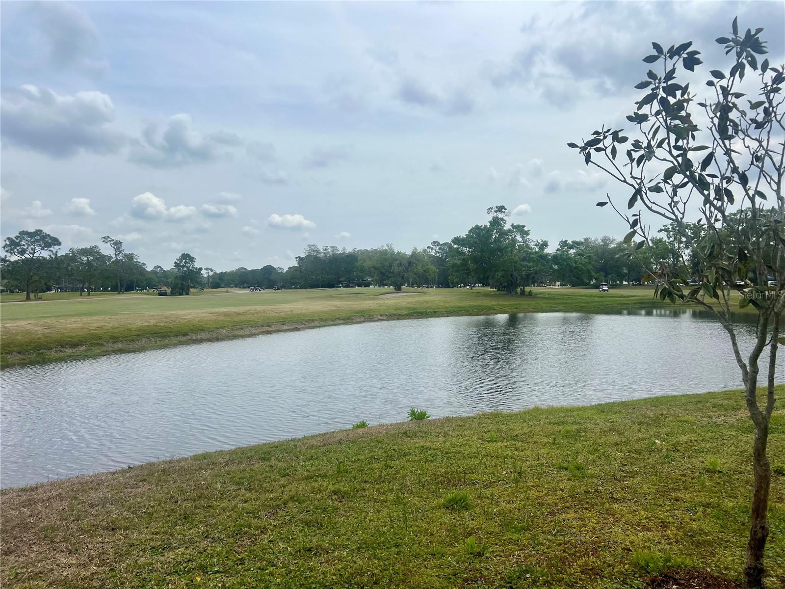 3629 INDIGO POND DR #3629 — photo 41
