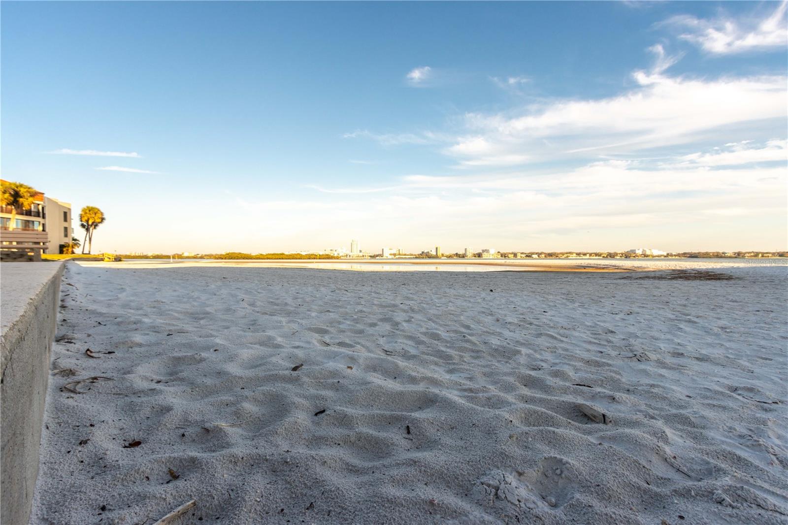 830 S GULFVIEW BLVD #501 — photo 37