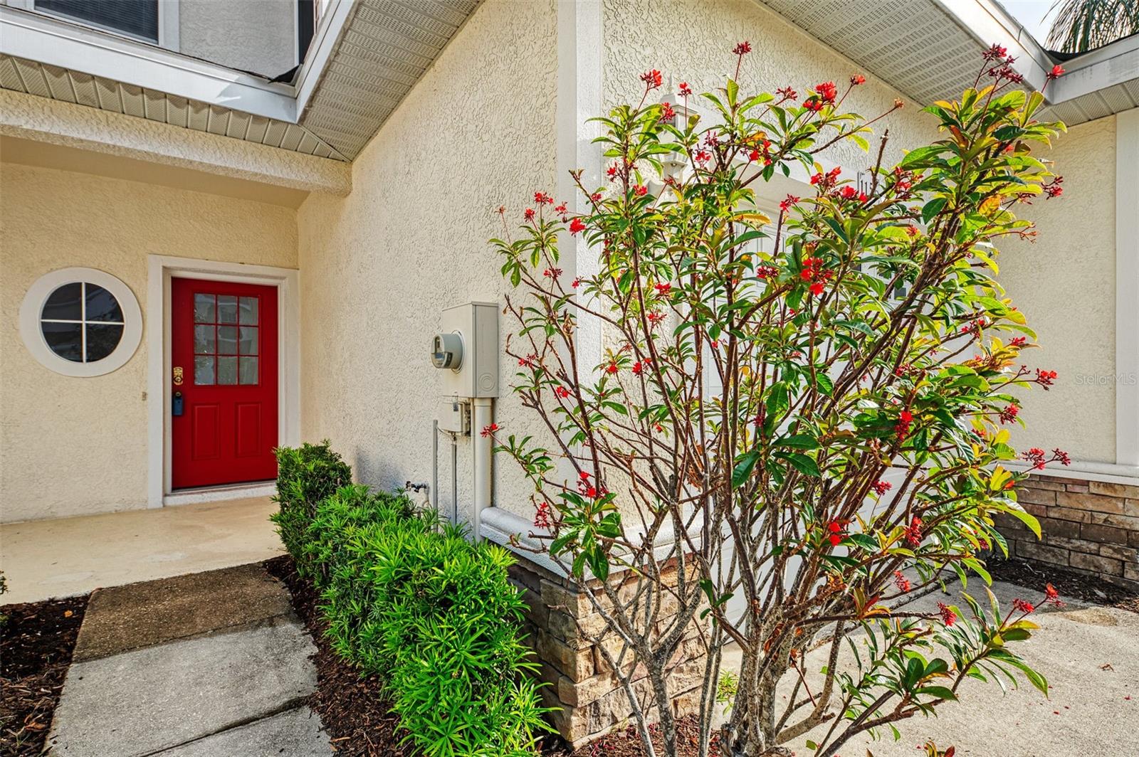 1156 JONAH DR — photo 4