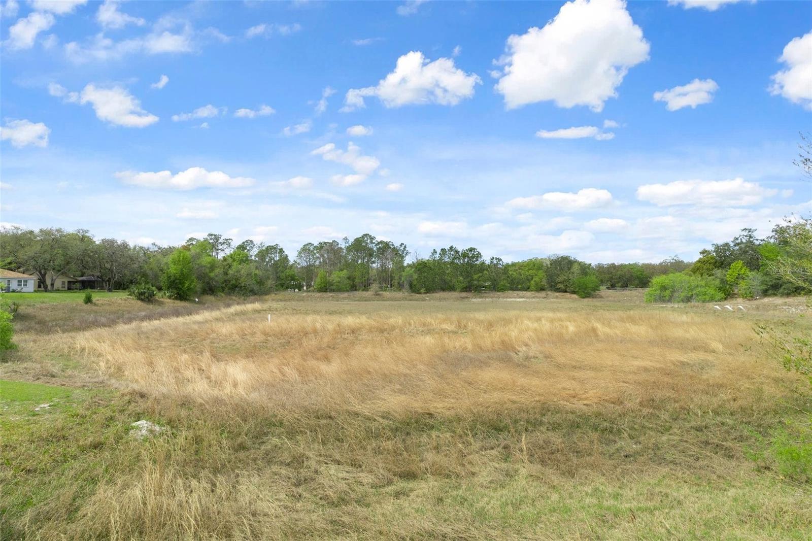 18241 AUTUMN LAKE BLVD — photo 51