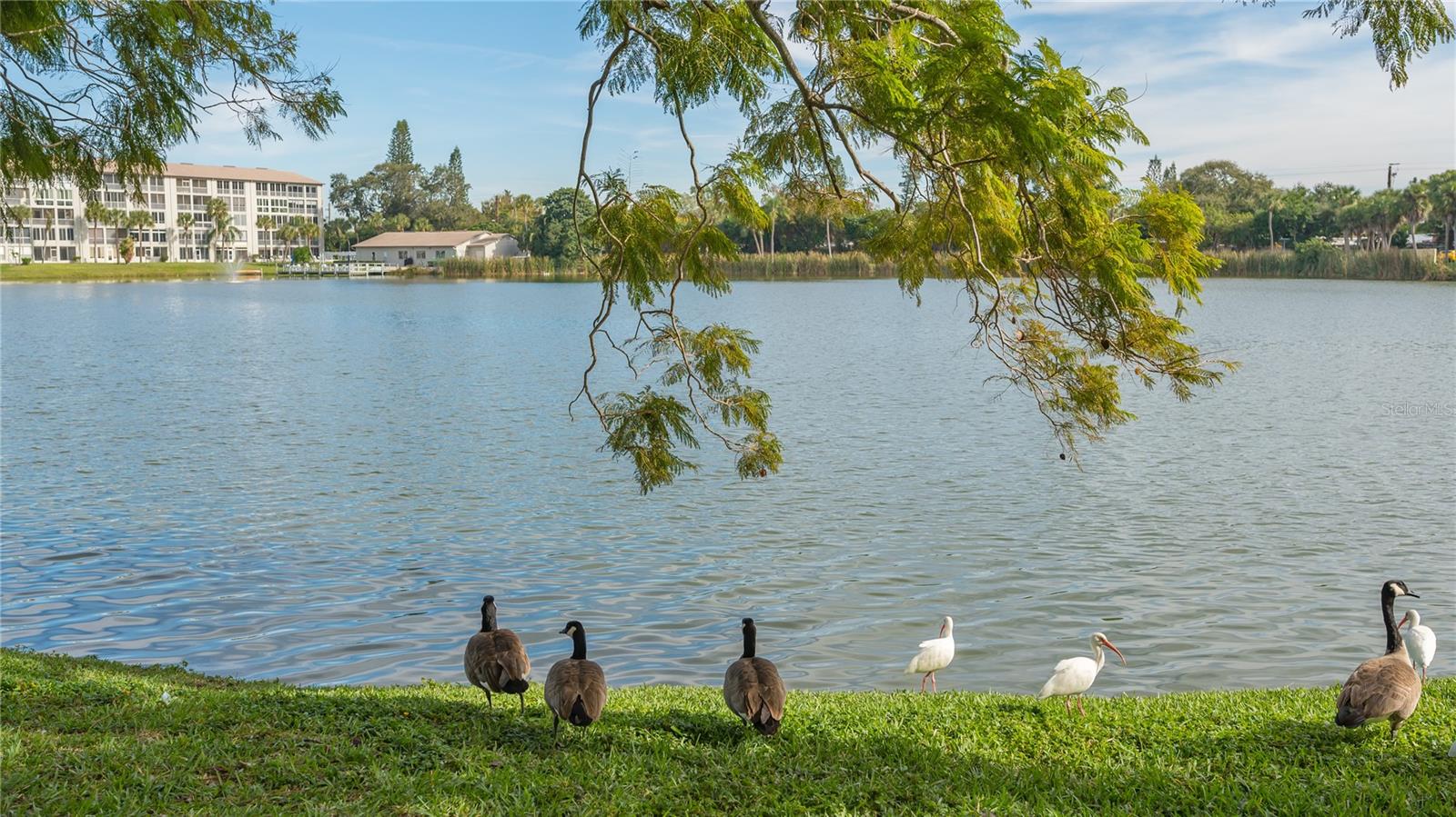 3845 LAKE BAYSHORE DR #F103 — photo 36