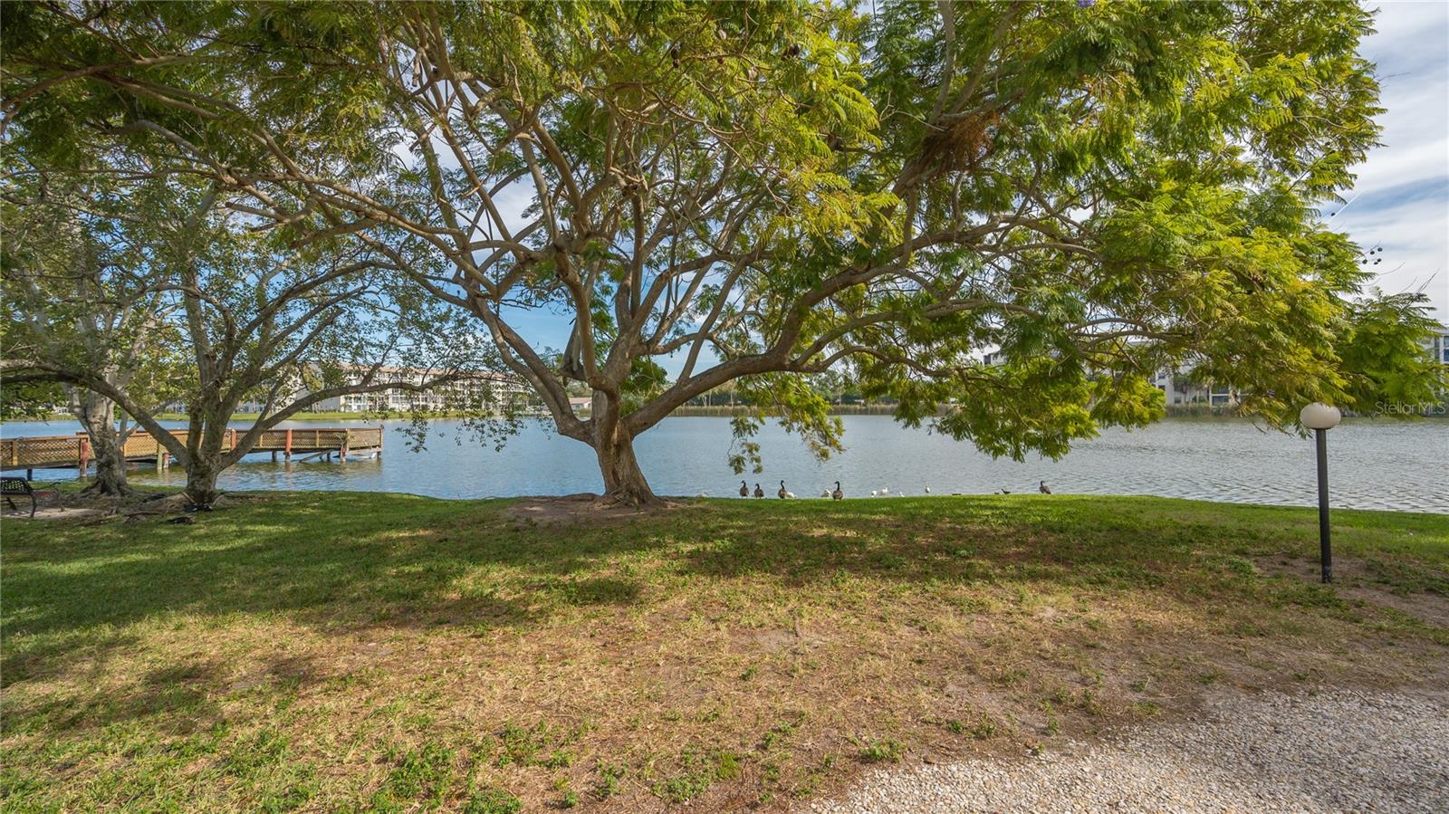 3845 LAKE BAYSHORE DR #F103 — photo 34