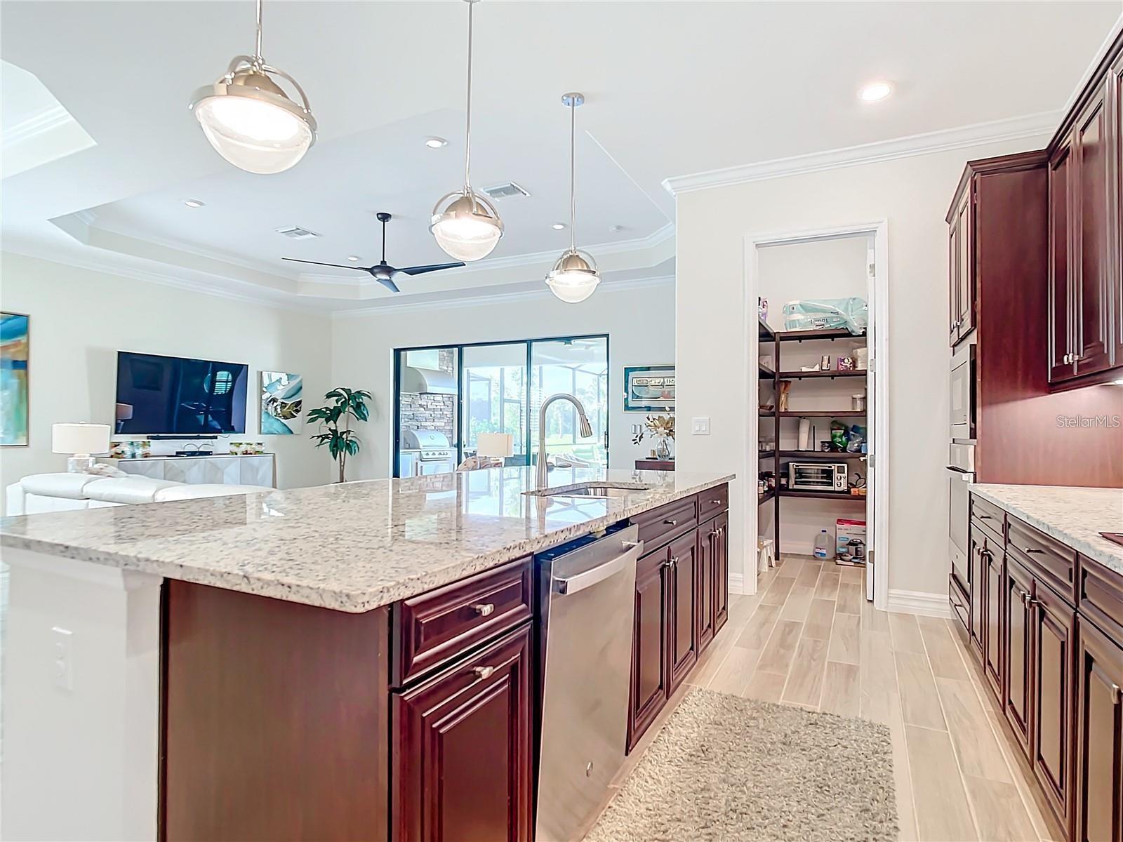 25025 SPARTINA DR — photo 9