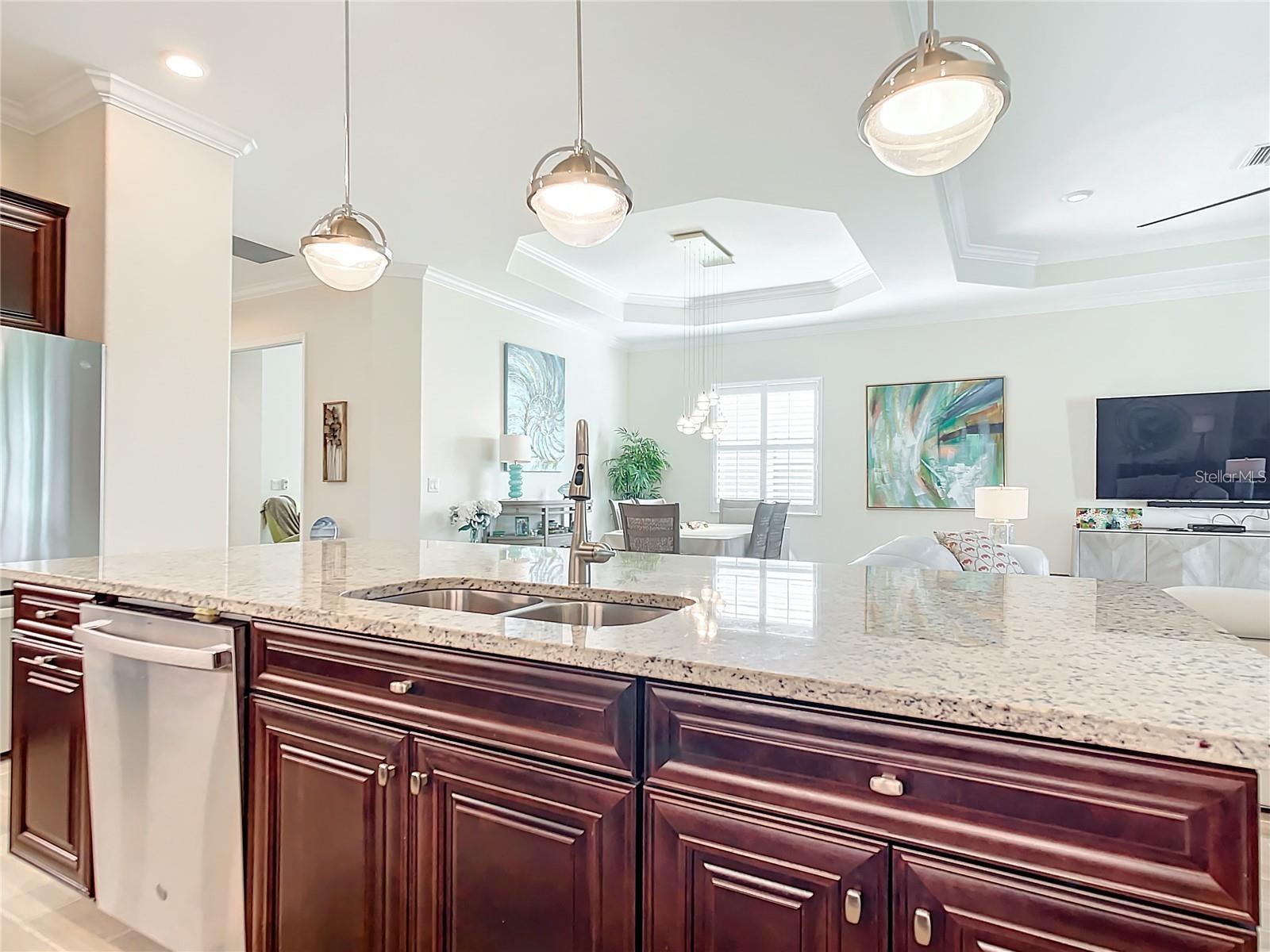 25025 SPARTINA DR — photo 11