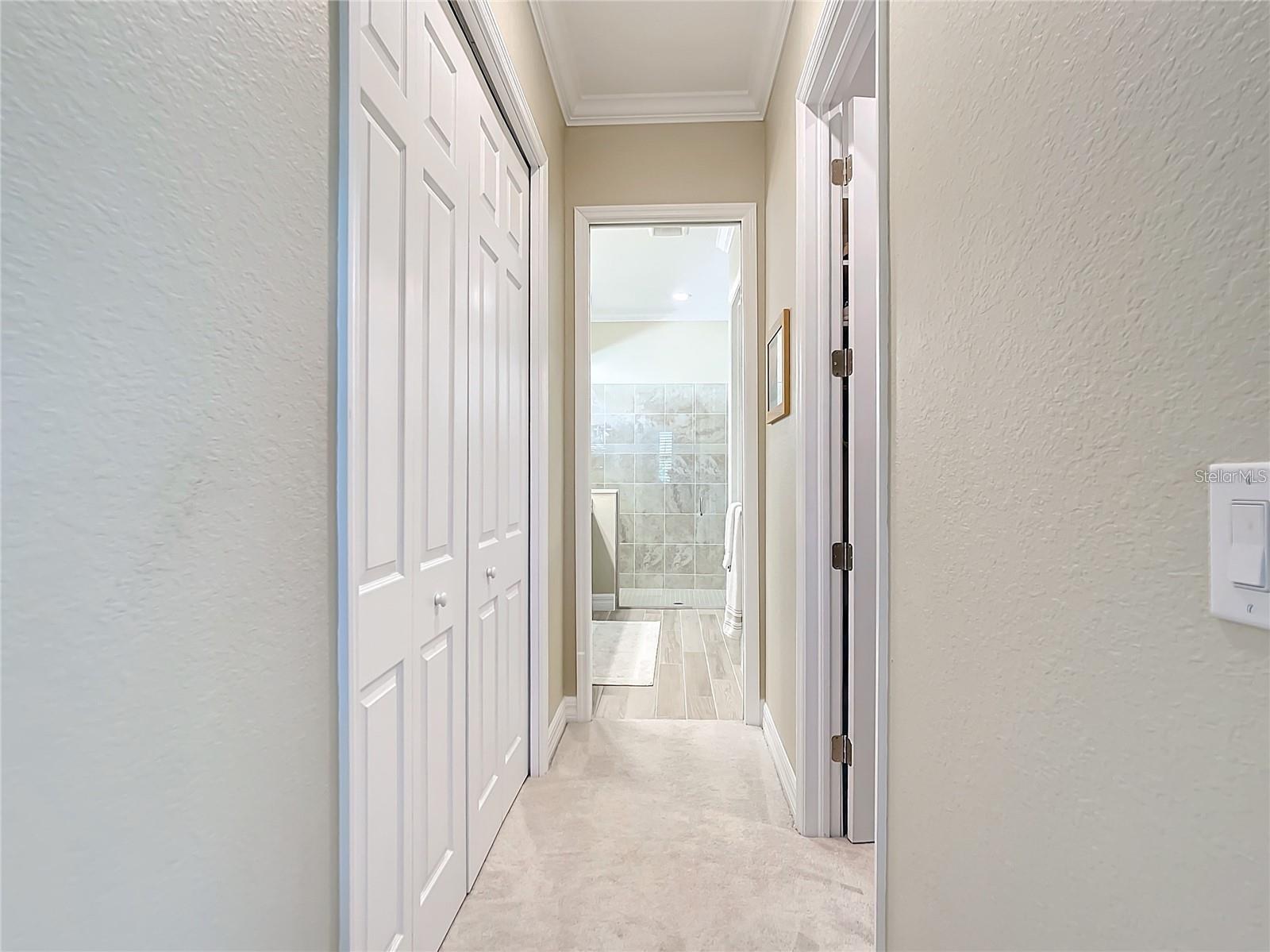 25025 SPARTINA DR — photo 31