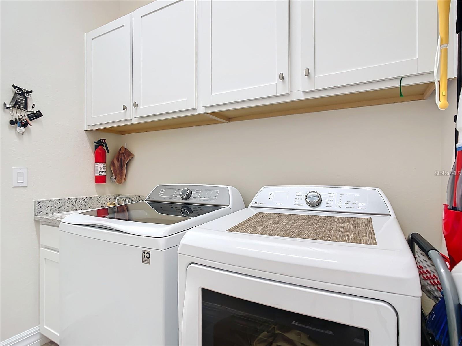 25025 SPARTINA DR — photo 36