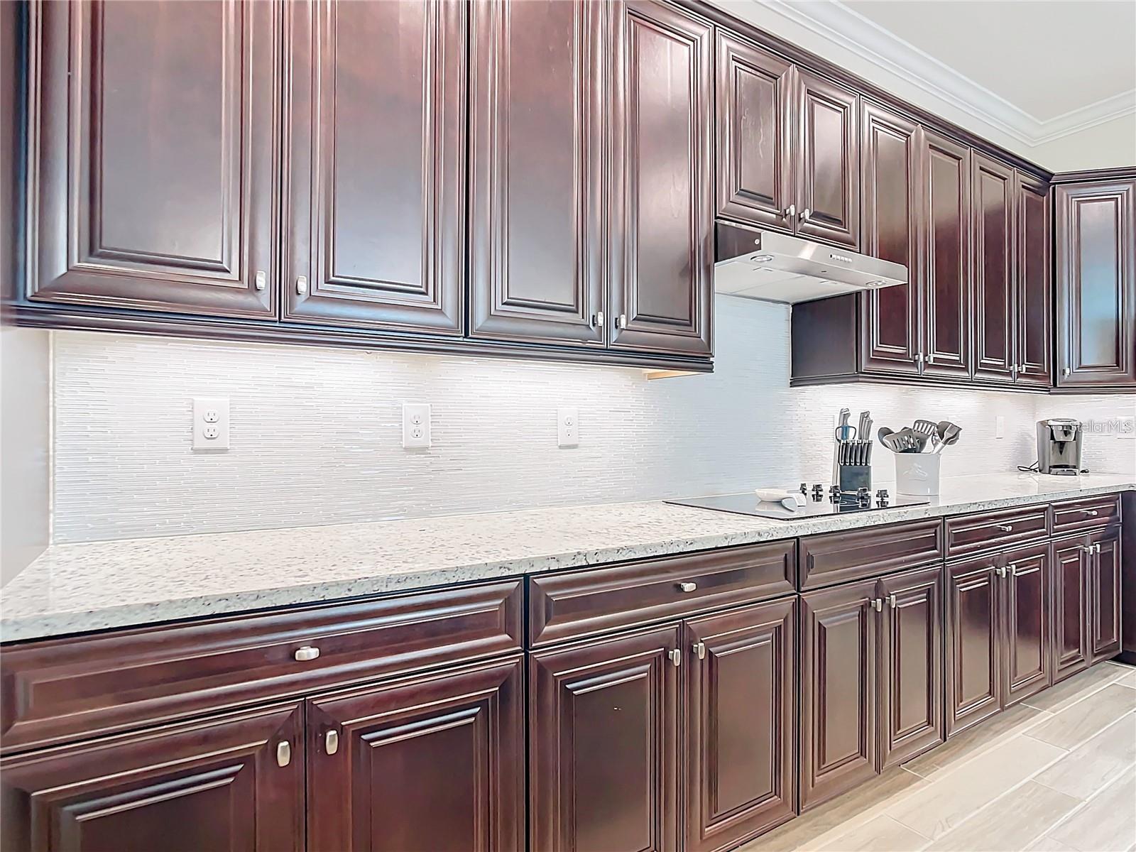 25025 SPARTINA DR — photo 10