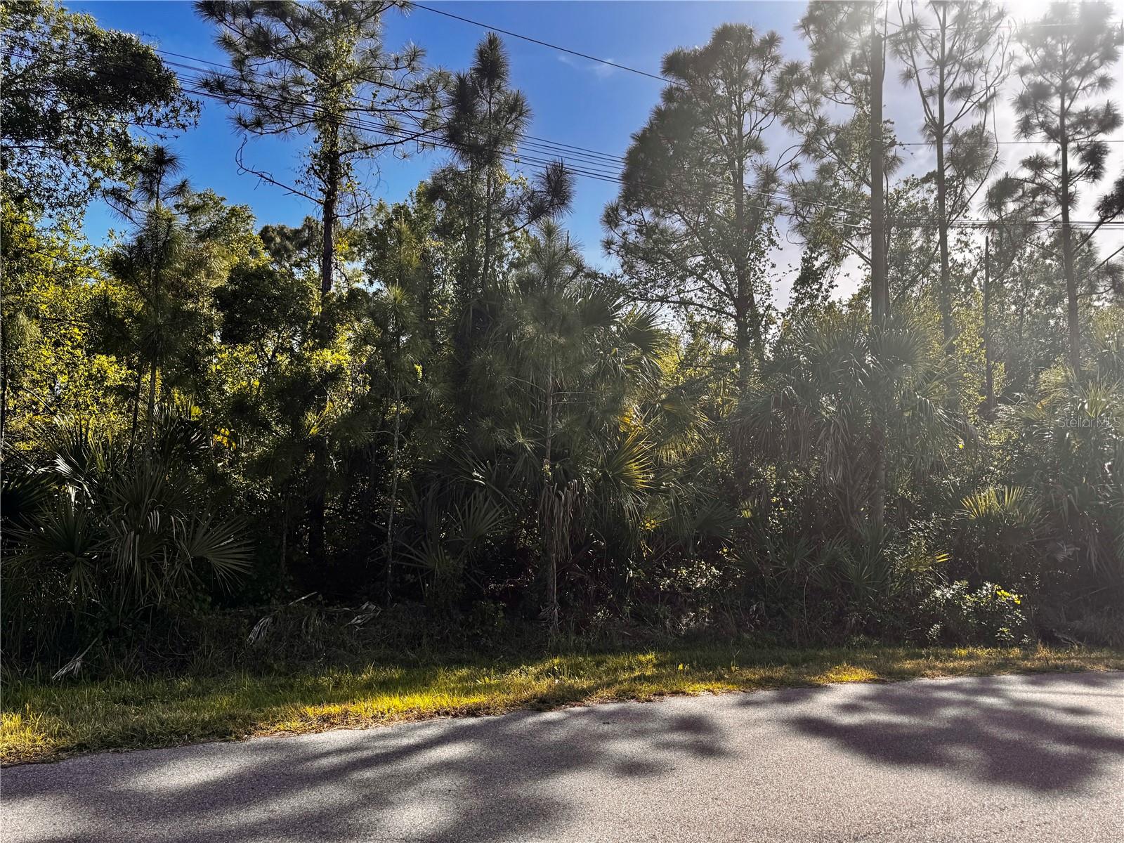 SAWYER CIR — photo 13