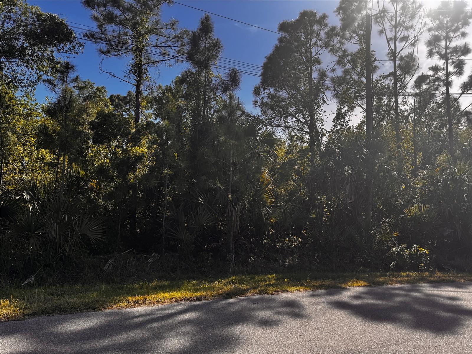 SAWYER CIR — photo 6