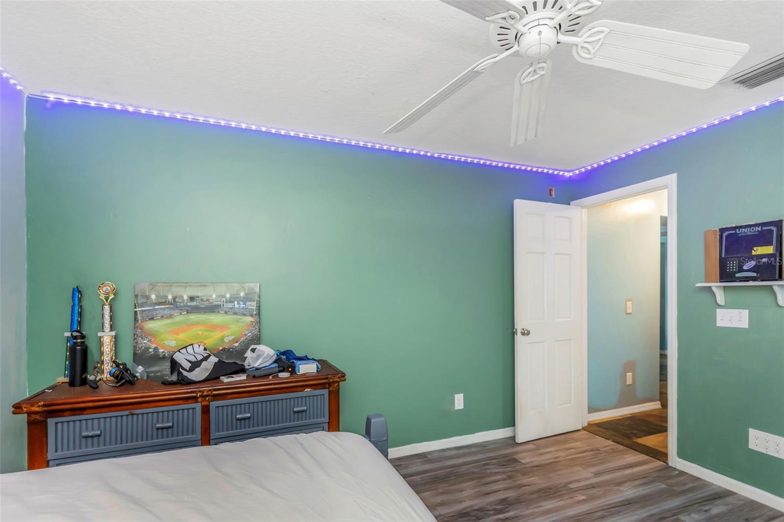 424 ISLAND CAY WAY — photo 51