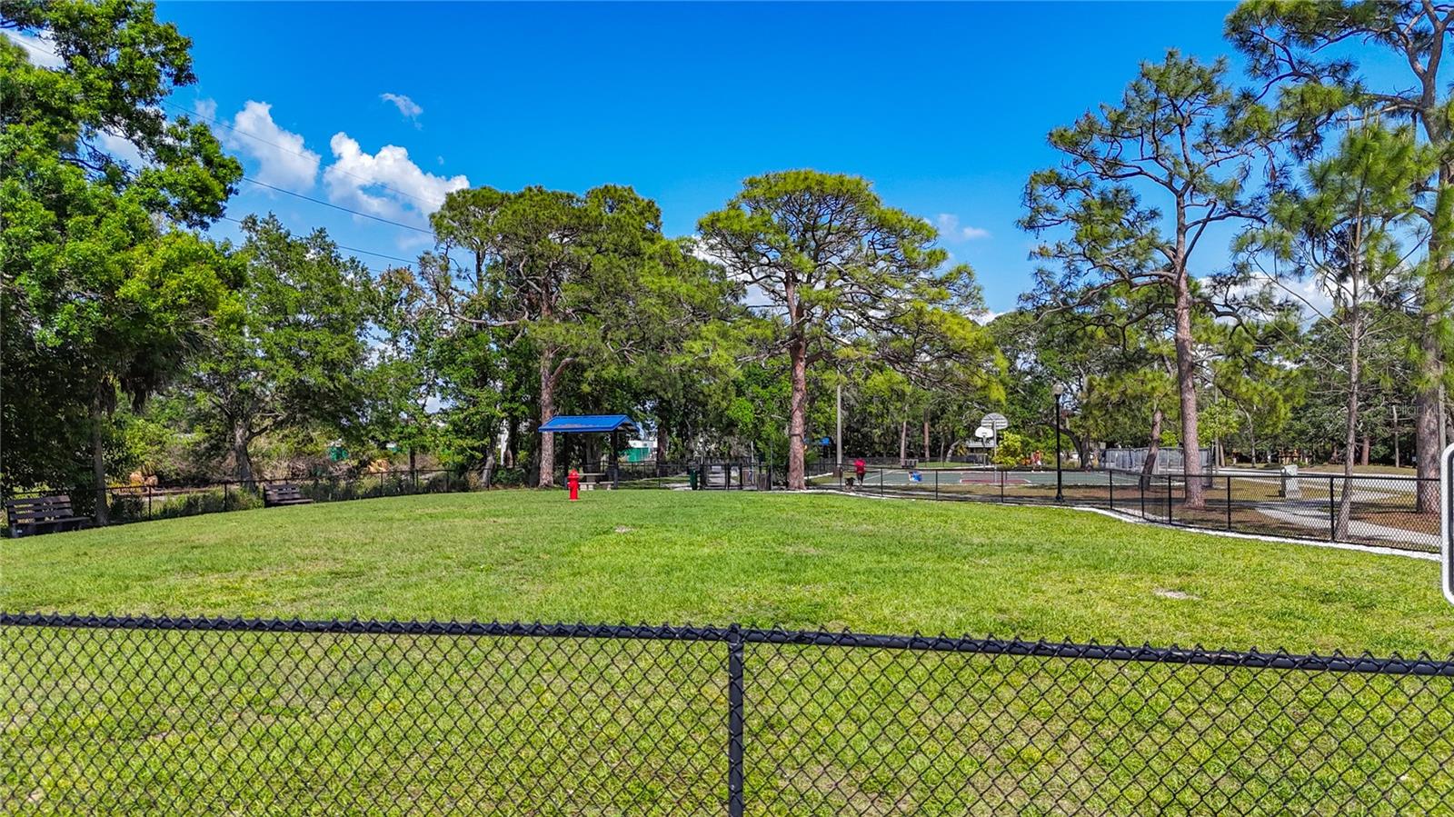 941 N OSPREY AVE — photo 50
