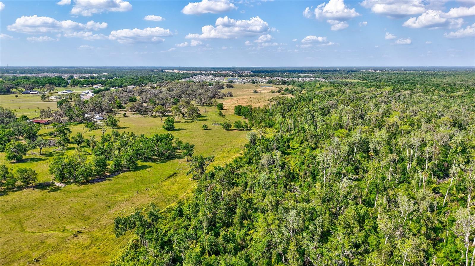 5900 SPENCER PARRISH RD — photo 15
