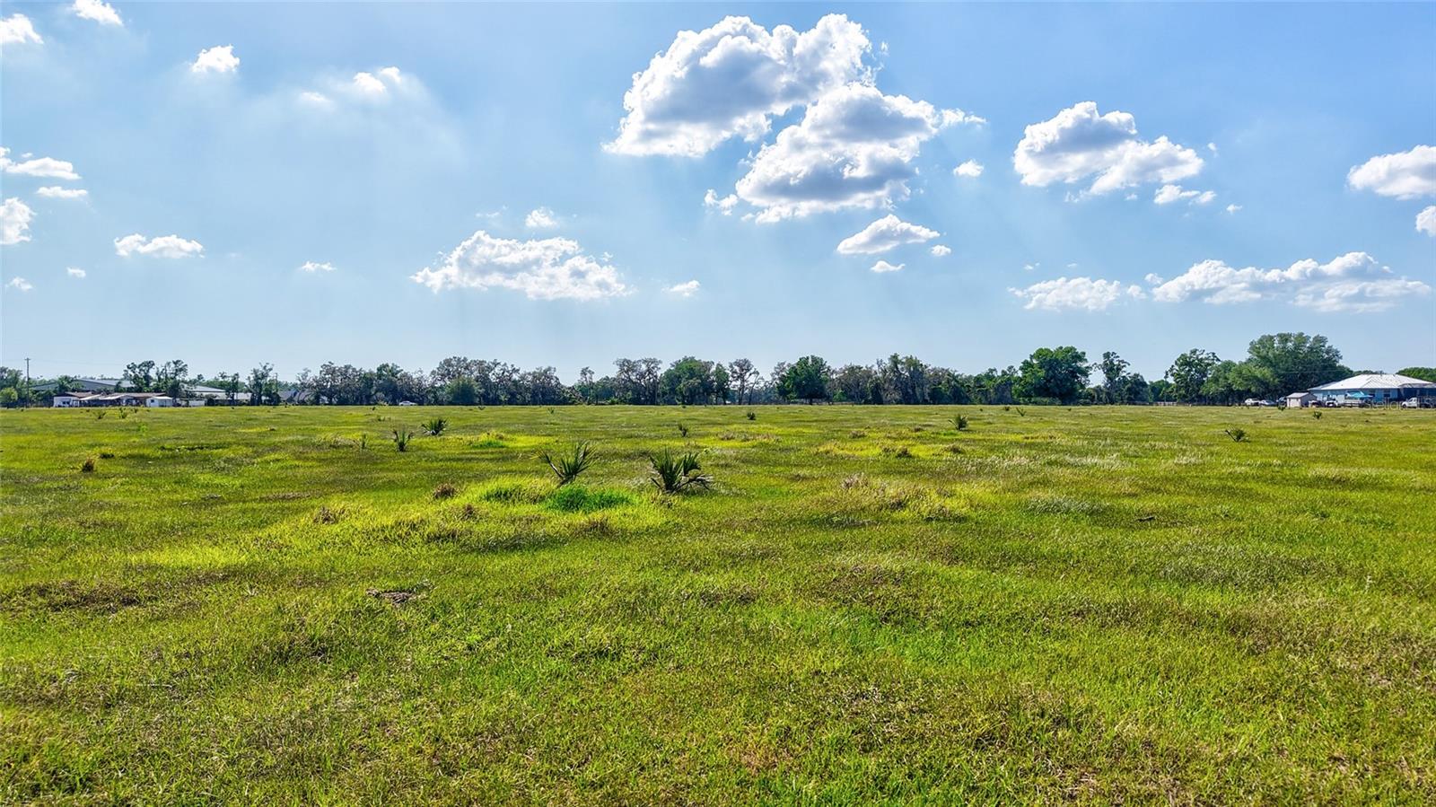 5900 SPENCER PARRISH RD — photo 17
