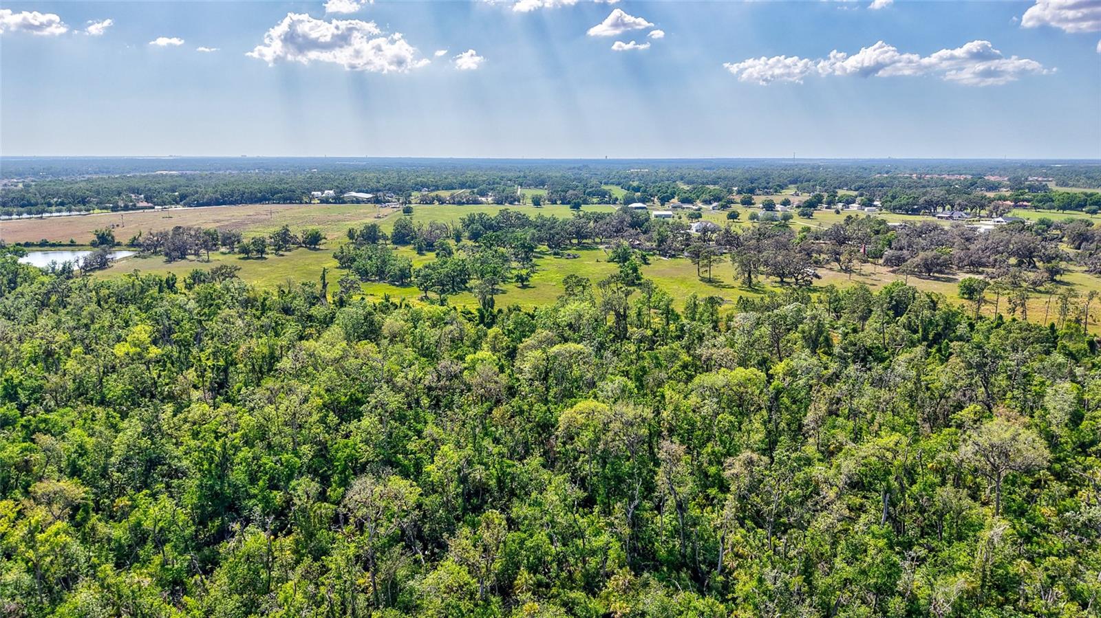 5900 SPENCER PARRISH RD — photo 16