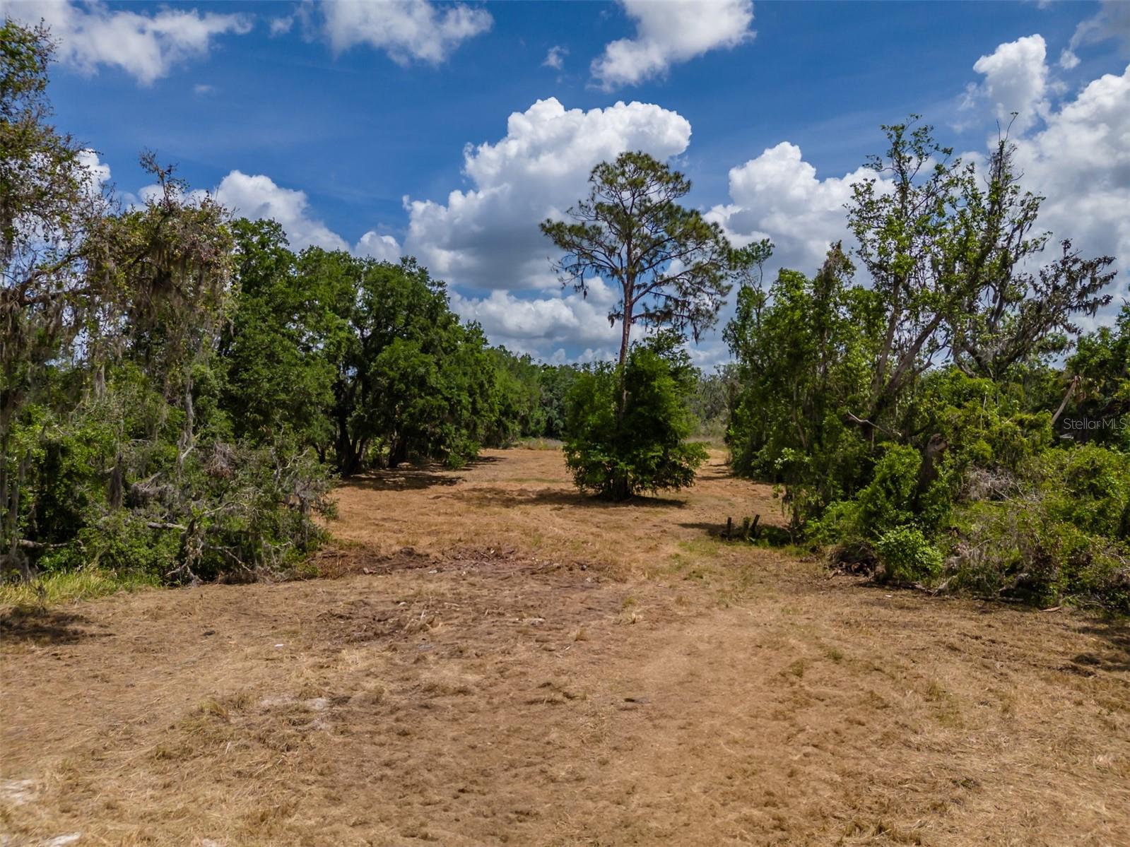 5106 BELL SHOALS RD — photo 9