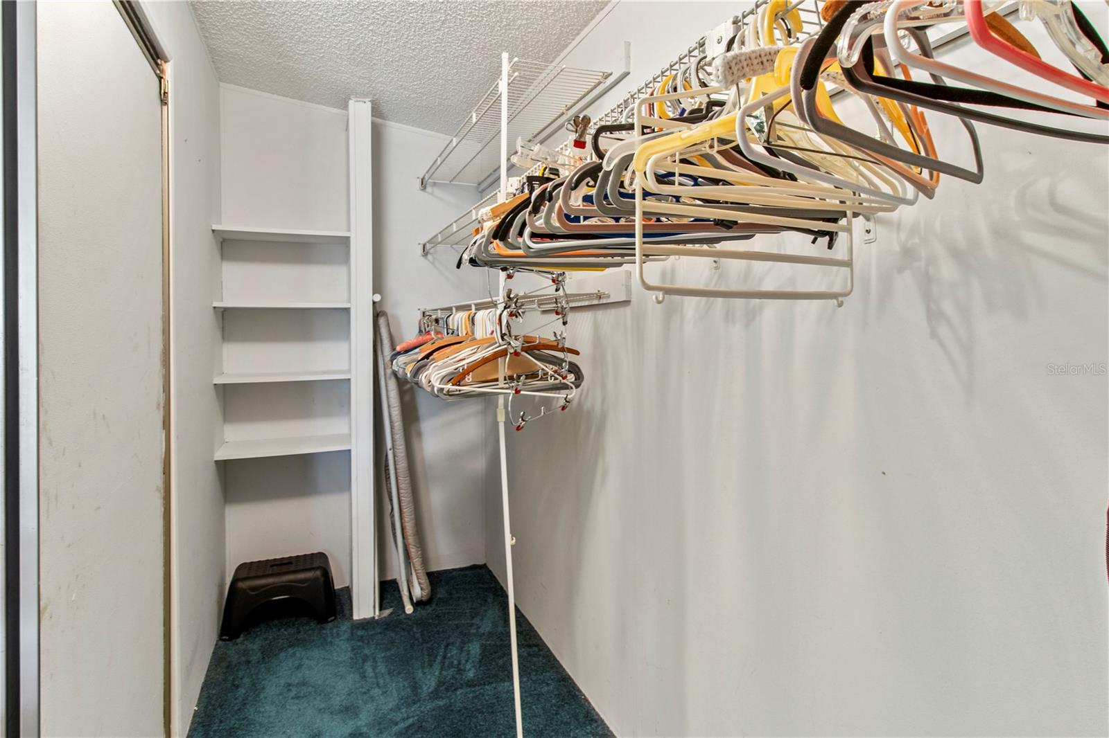 153 EGRET CIR — photo 40