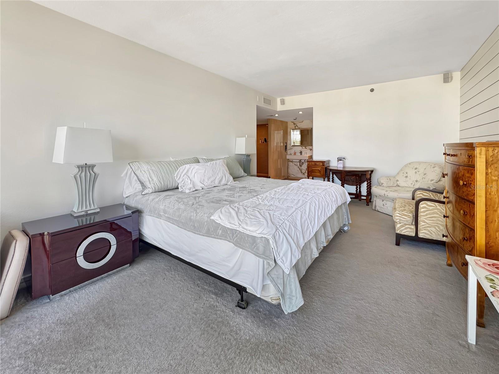 3301 BAYSHORE BLVD #2003D — photo 8