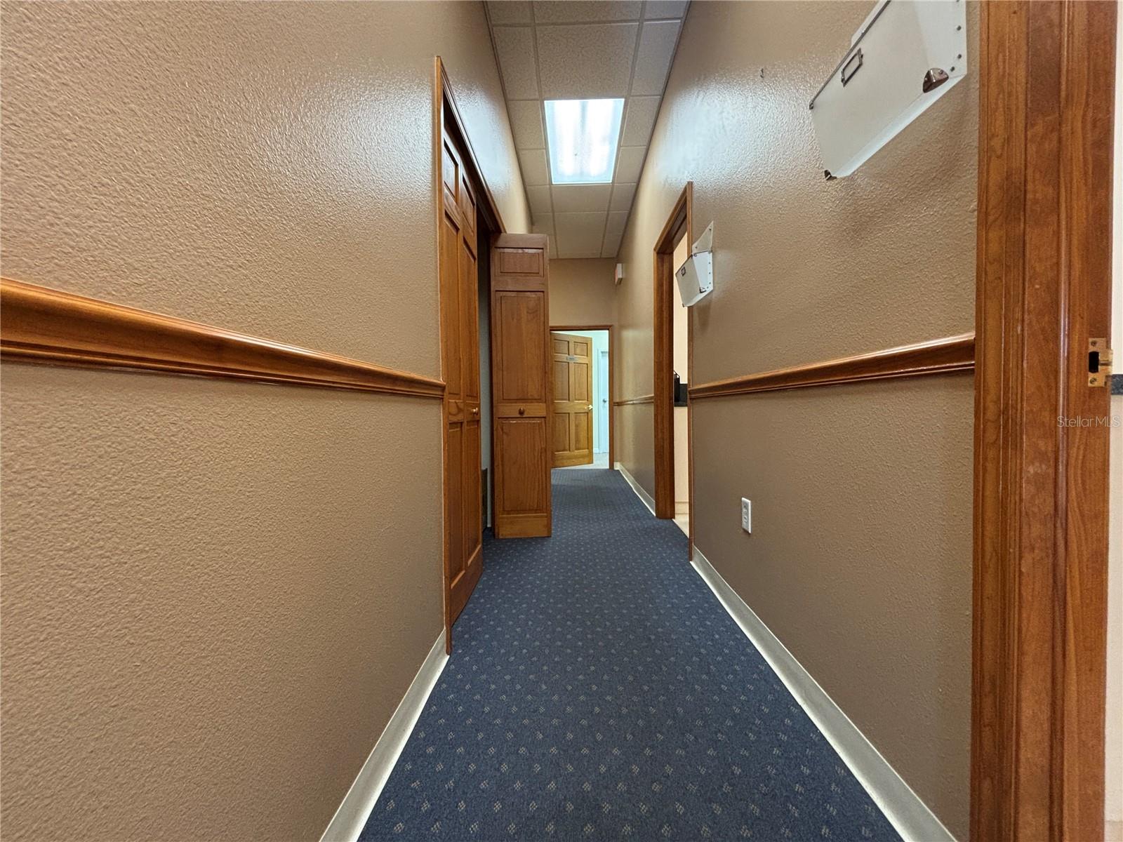 2855 ALT 19 — photo 12