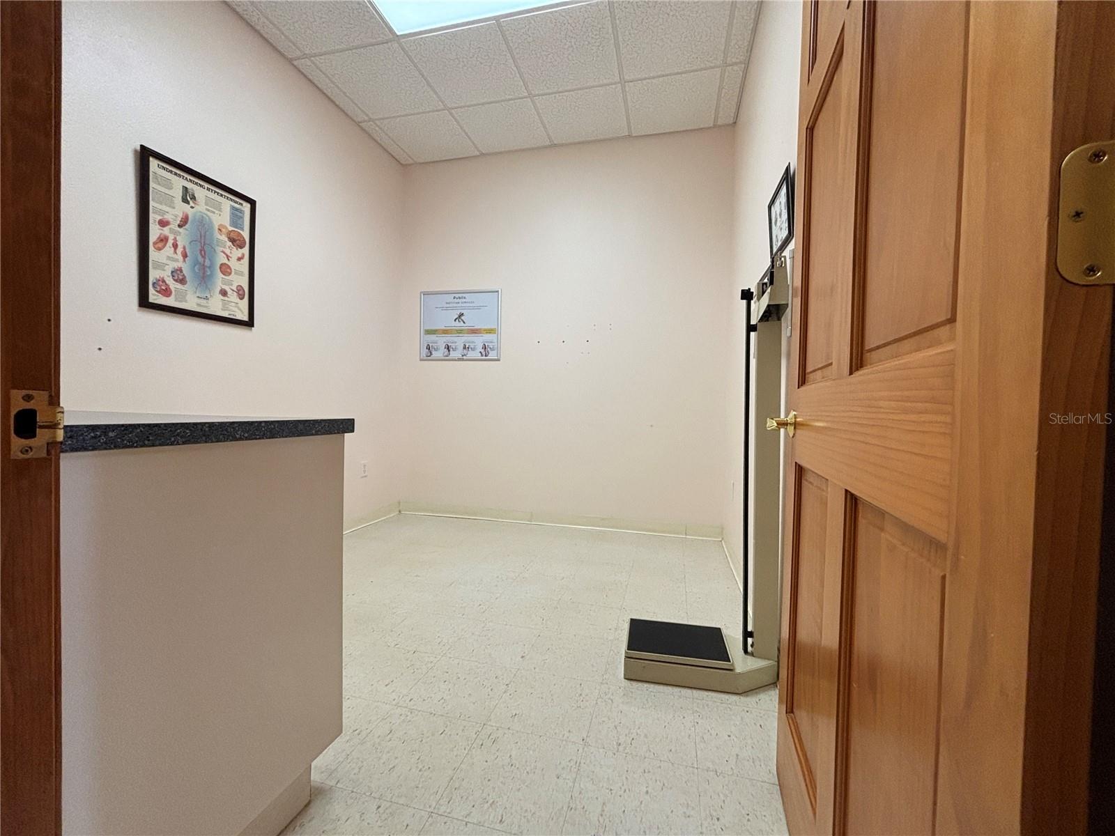 2855 ALT 19 — photo 10