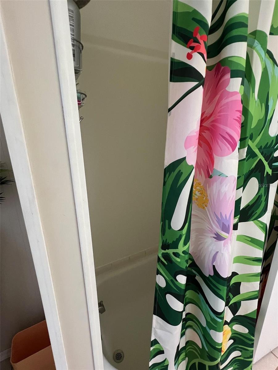 825 COCONUT PALM ST — photo 28