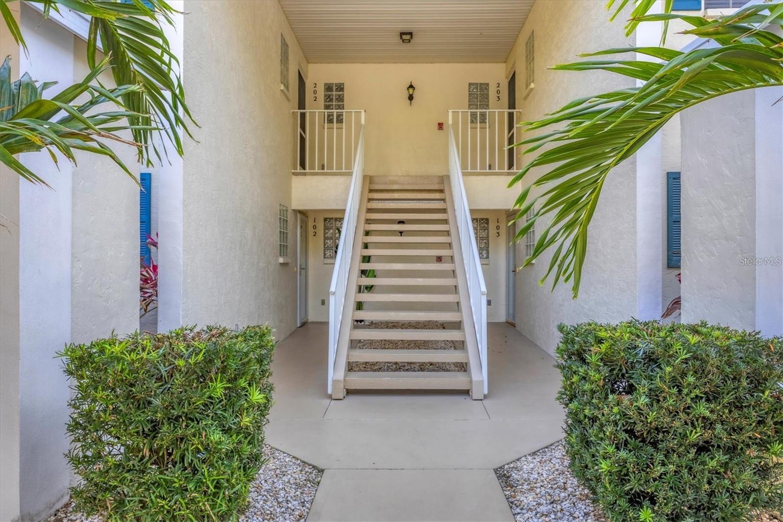 809 MONTROSE DR #203 — photo 3