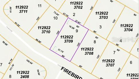 FIREBIRD RD — photo 5