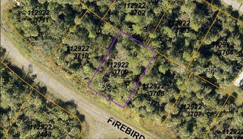 FIREBIRD RD — photo 4
