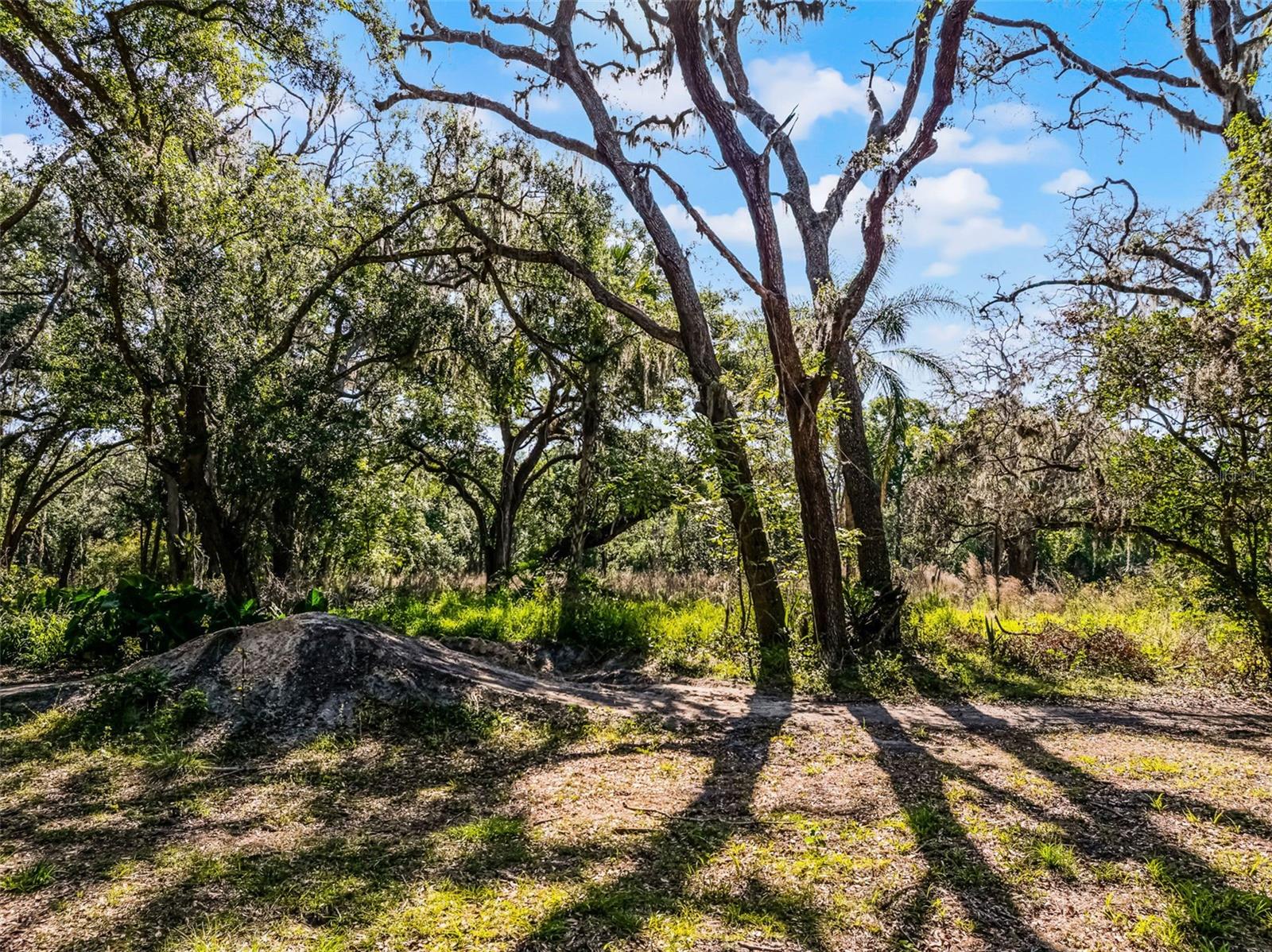 3633 PANTHER PATH RD — photo 7