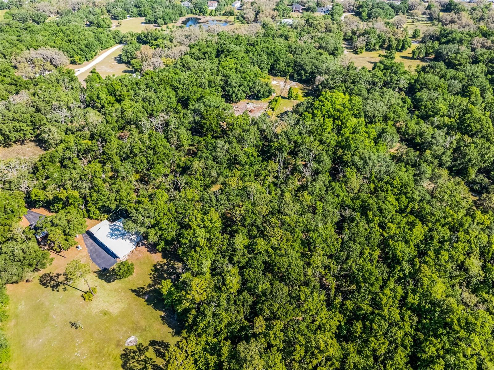 3633 PANTHER PATH RD — photo 20