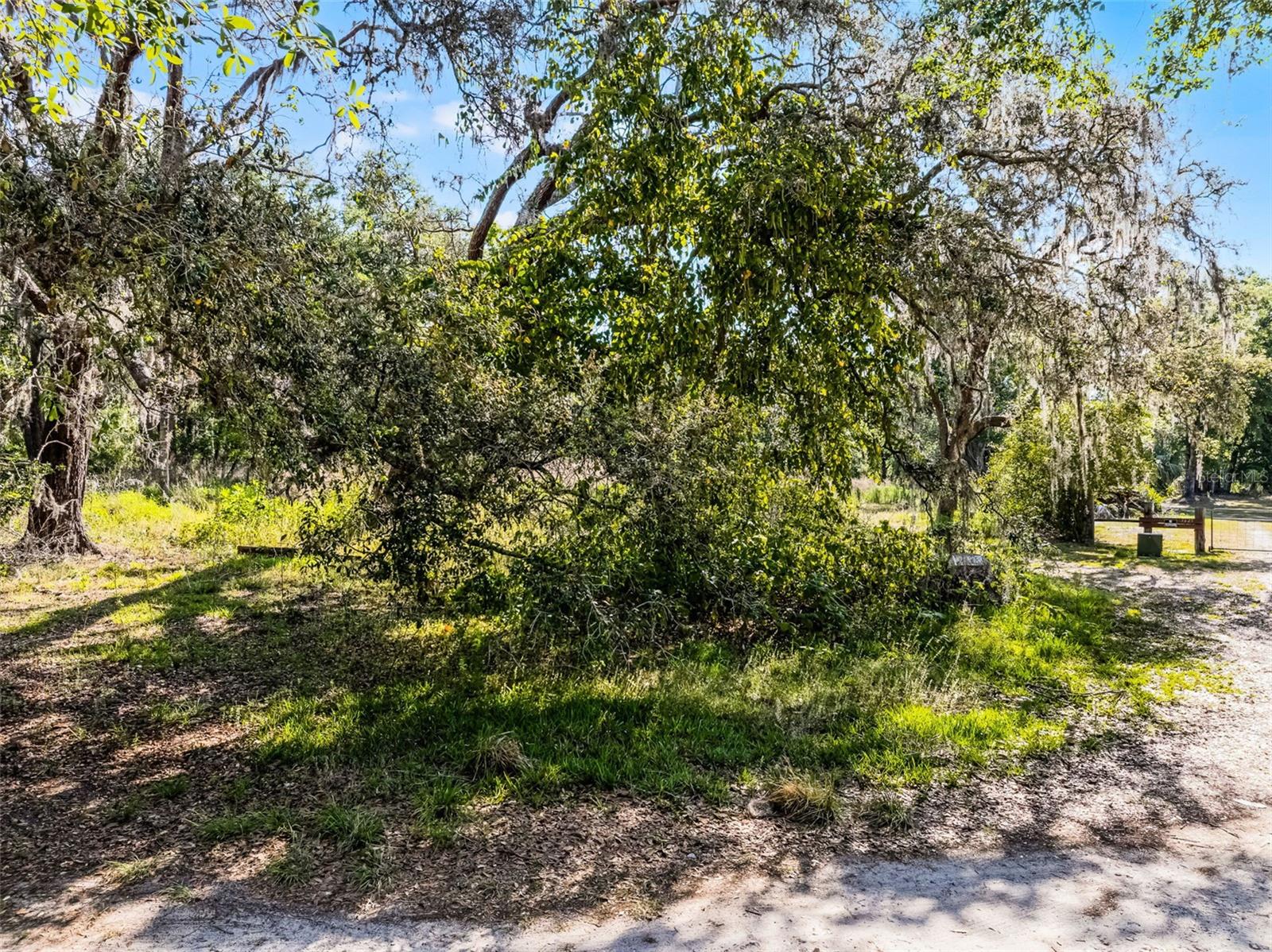 3633 PANTHER PATH RD — photo 12