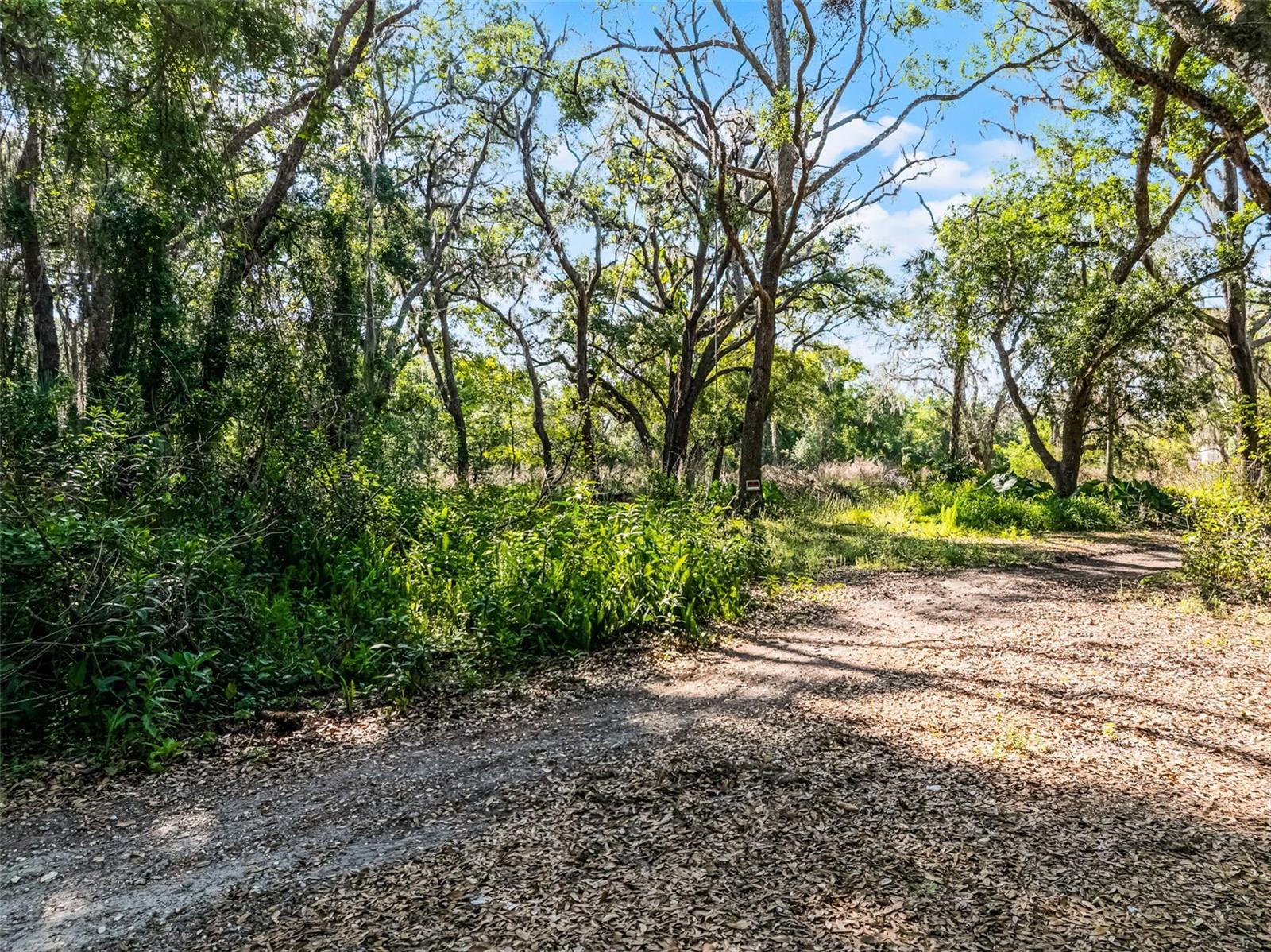 3633 PANTHER PATH RD — photo 8