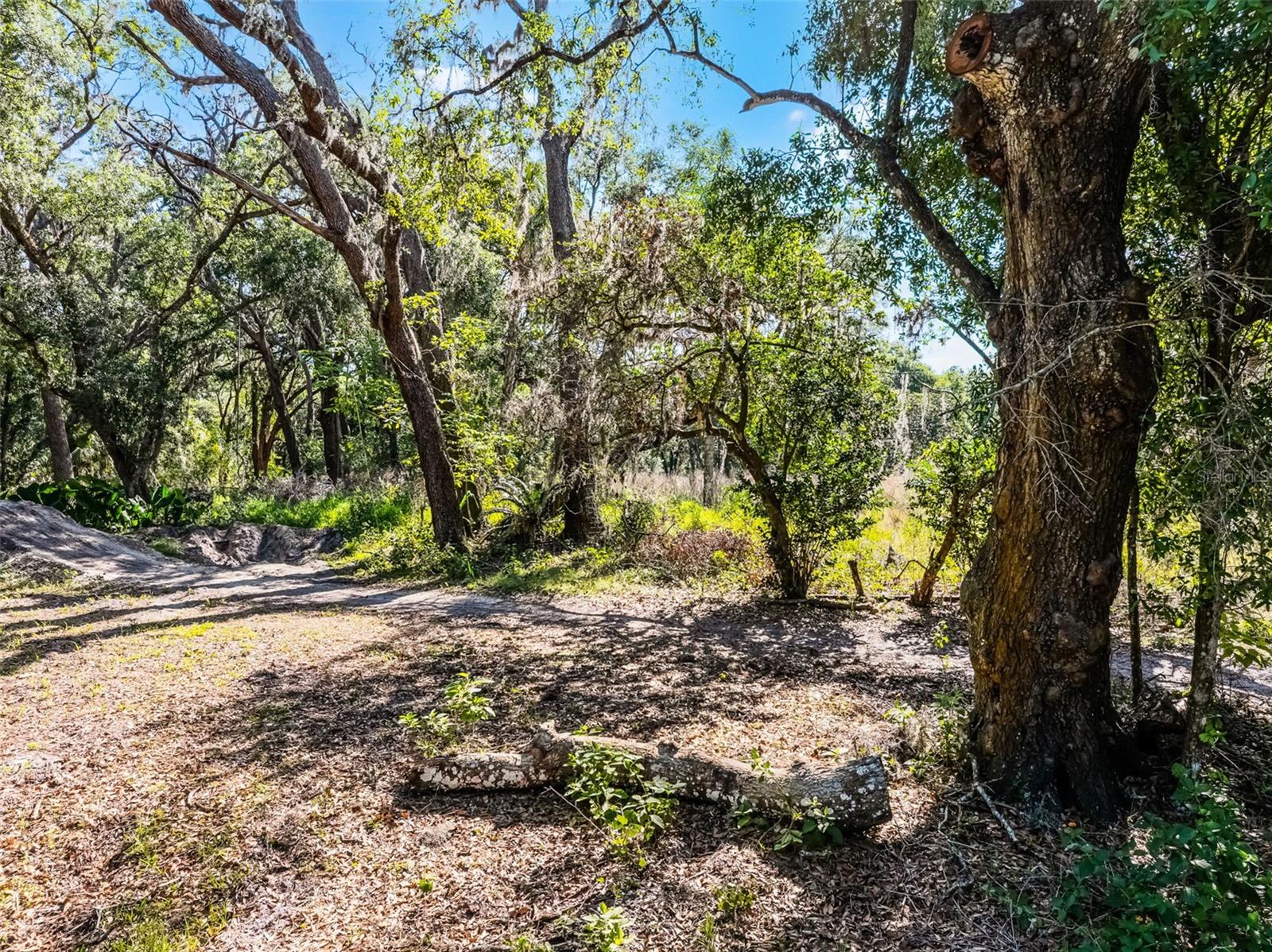 3633 PANTHER PATH RD — photo 14