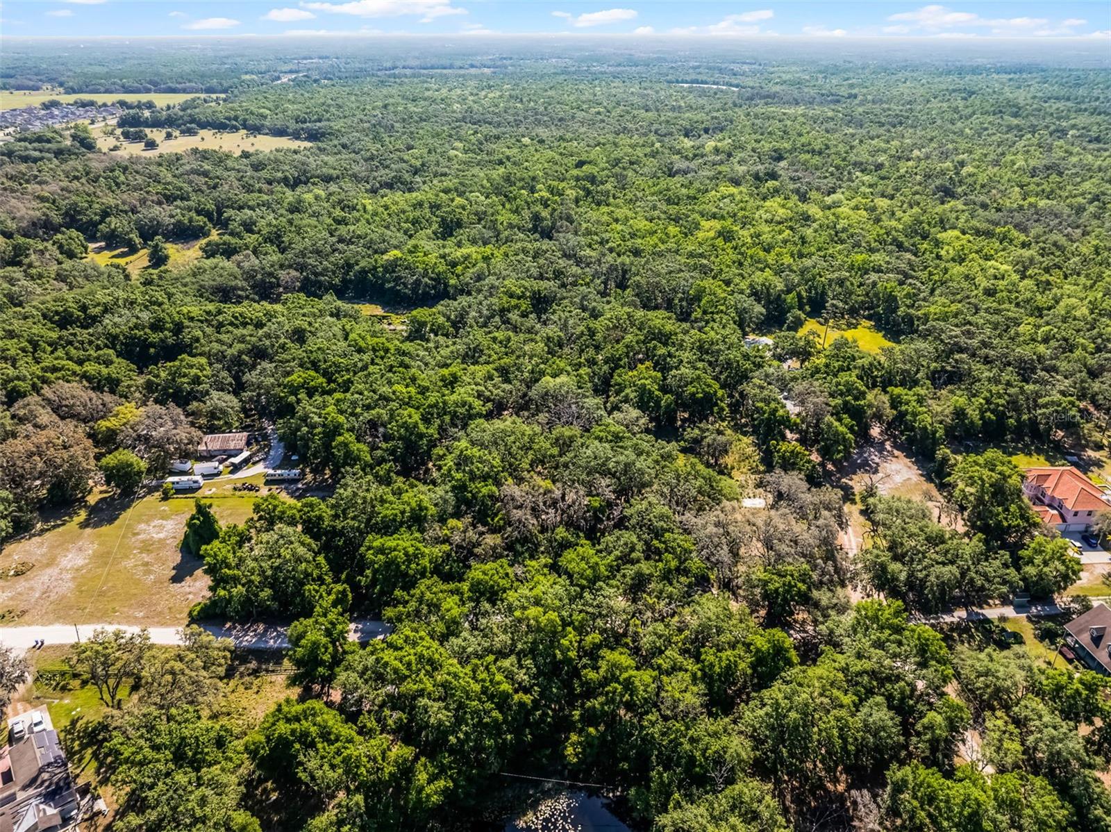 3633 PANTHER PATH RD — photo 18