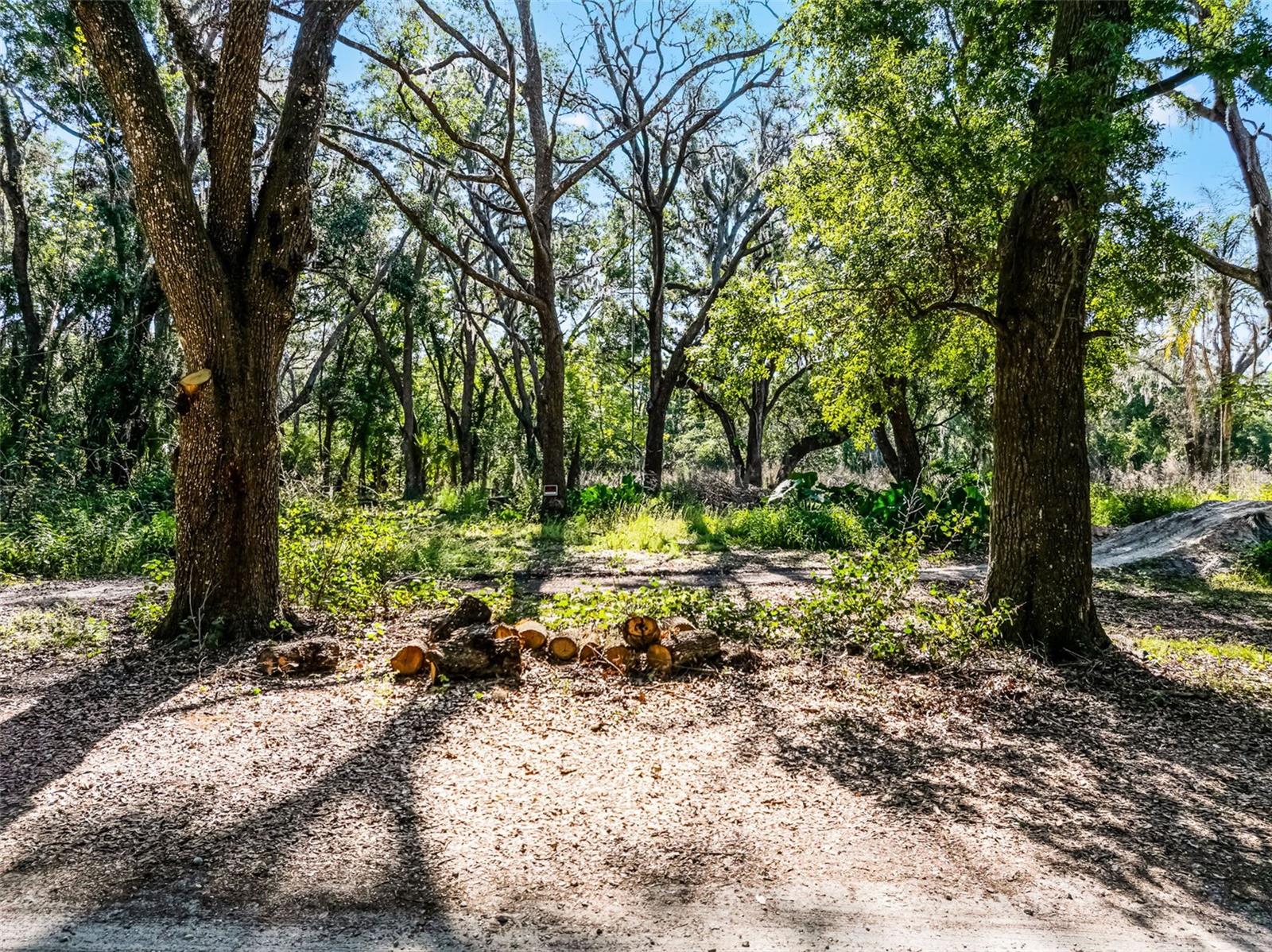 3633 PANTHER PATH RD — photo 13