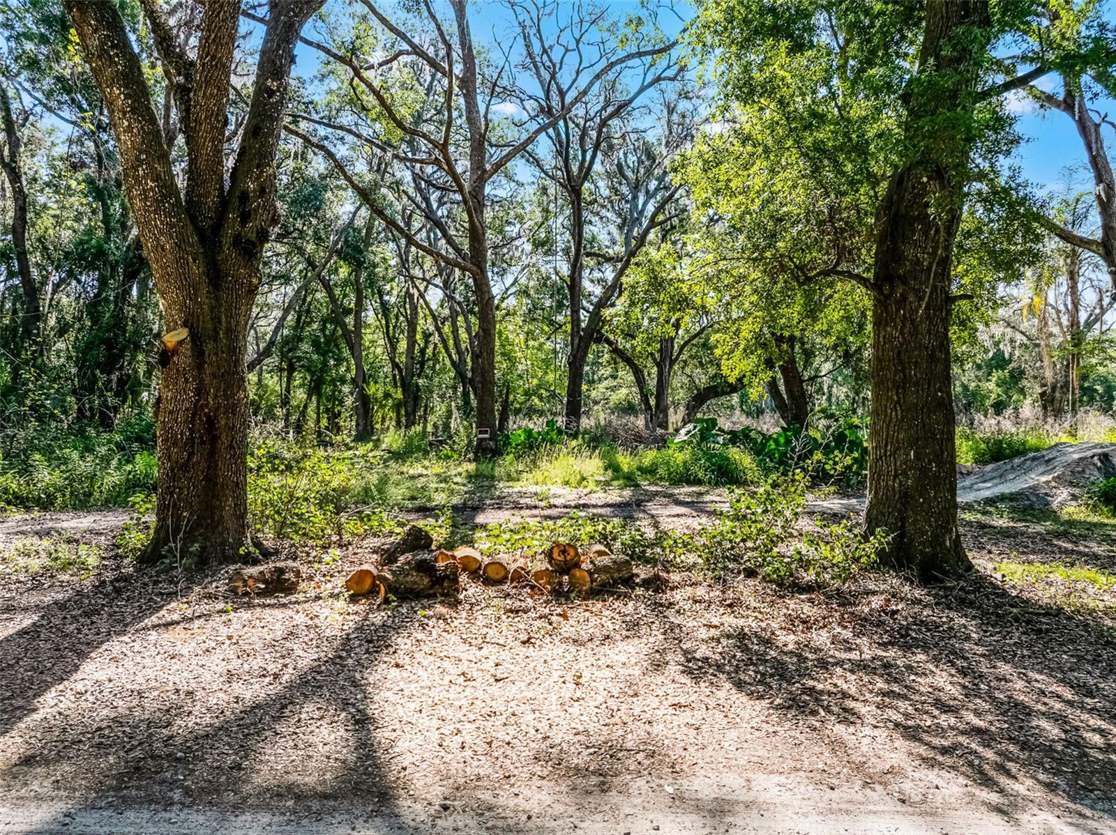 3633 PANTHER PATH RD — photo 9