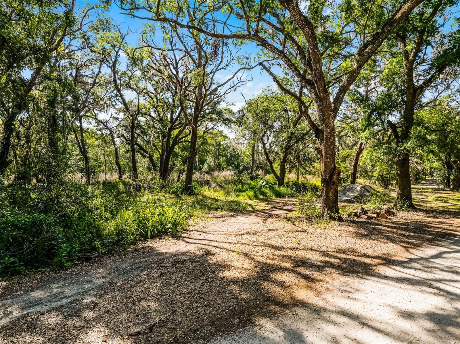 3633 PANTHER PATH RD — photo 5