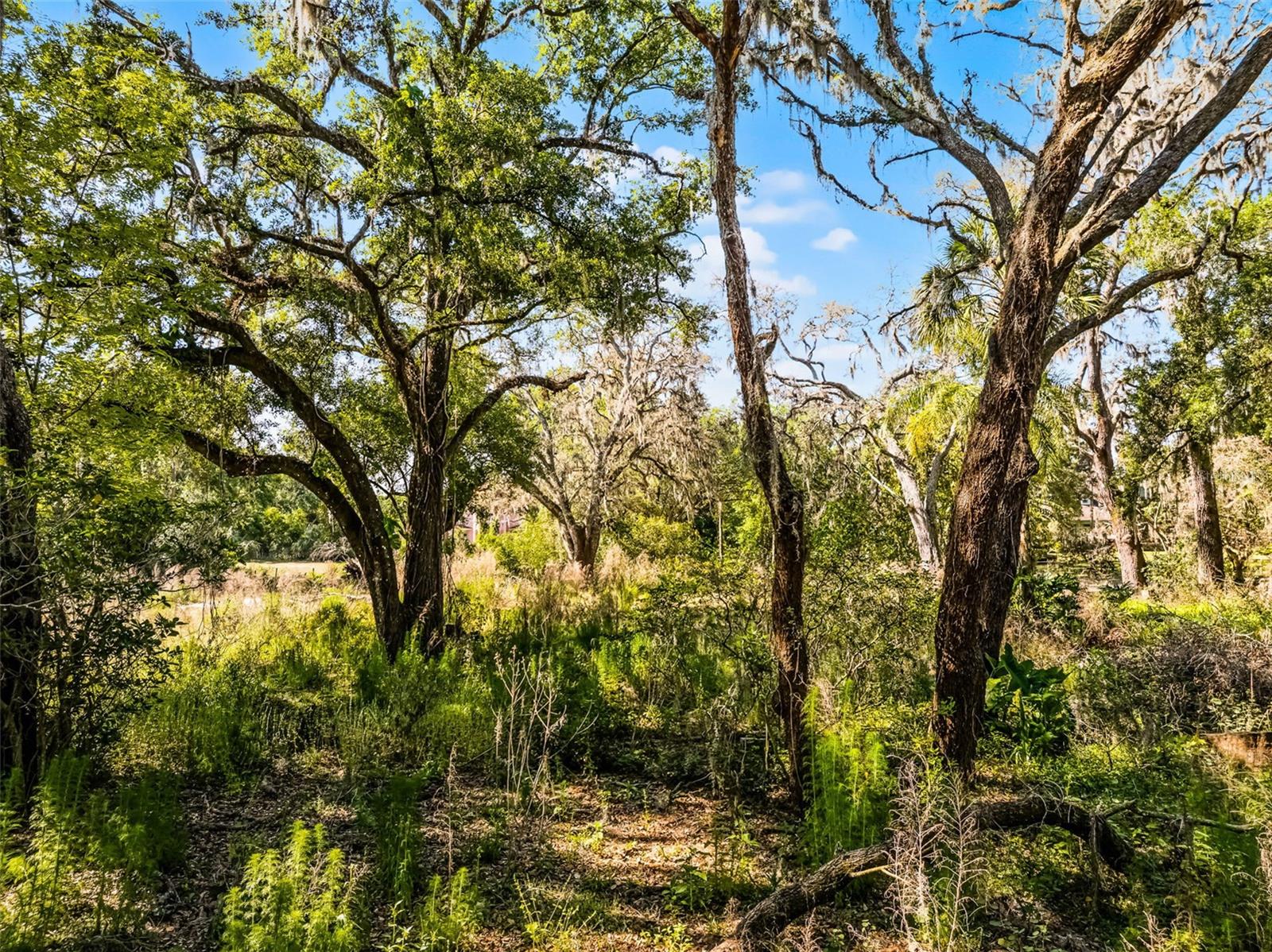 3633 PANTHER PATH RD — photo 11