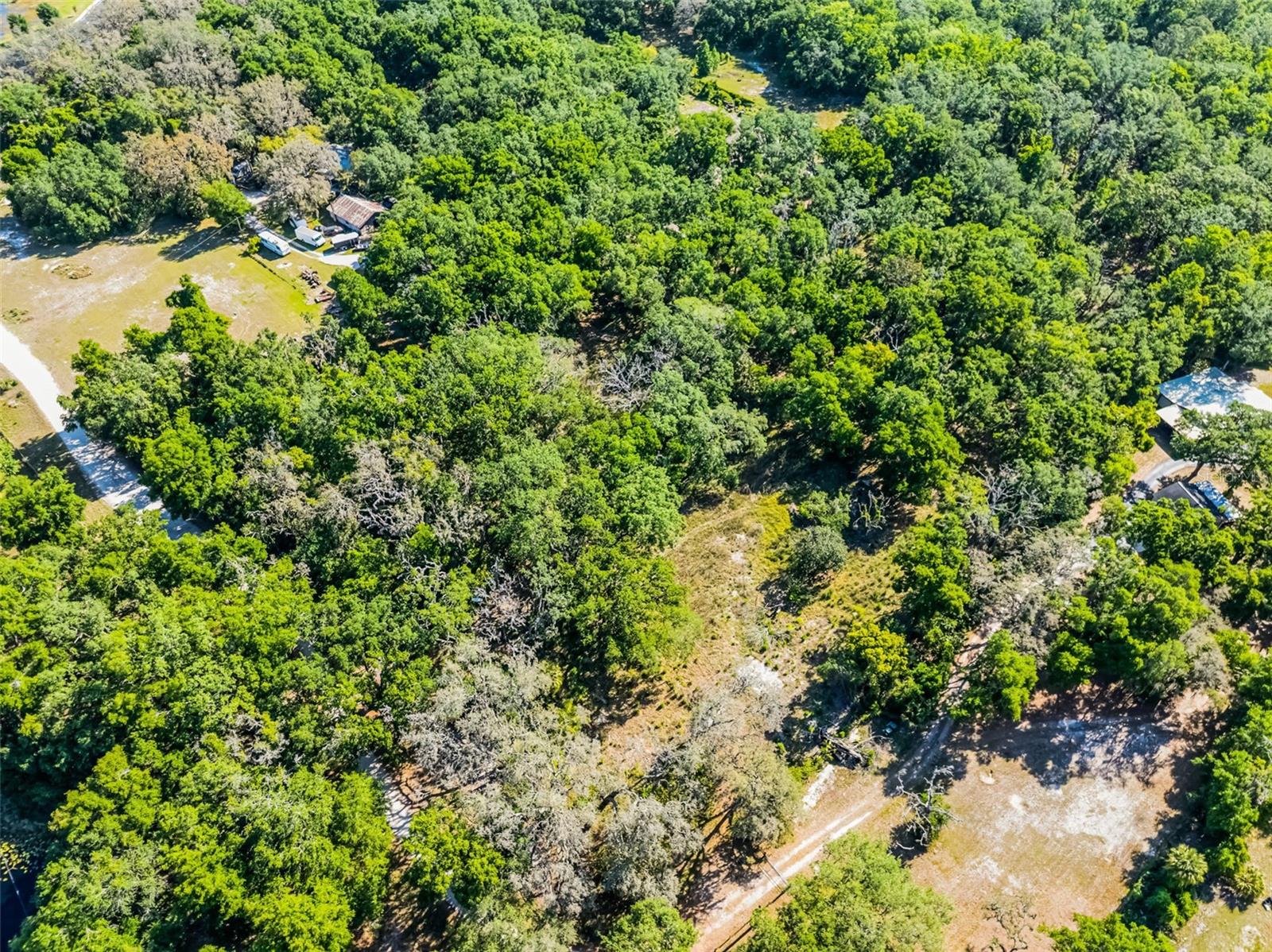 3633 PANTHER PATH RD — photo 21