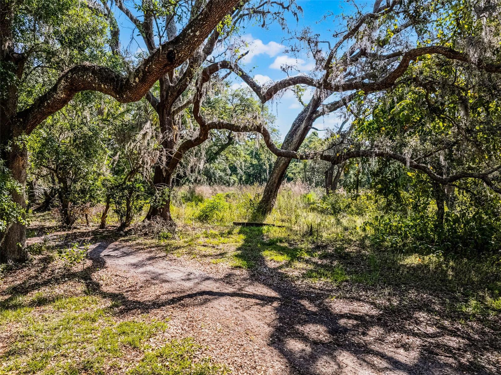 3633 PANTHER PATH RD — photo 6