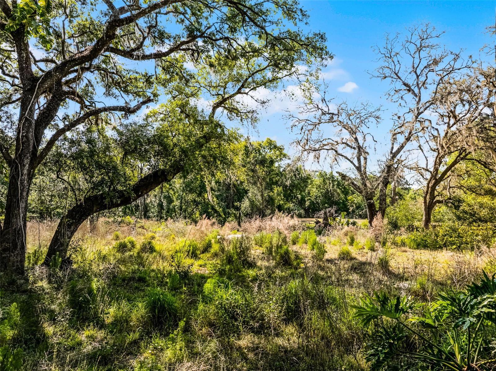 3633 PANTHER PATH RD — photo 10