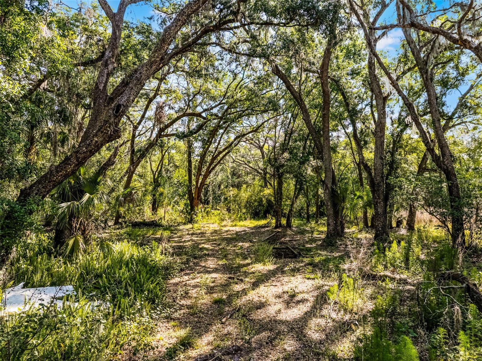3633 PANTHER PATH RD — photo 4
