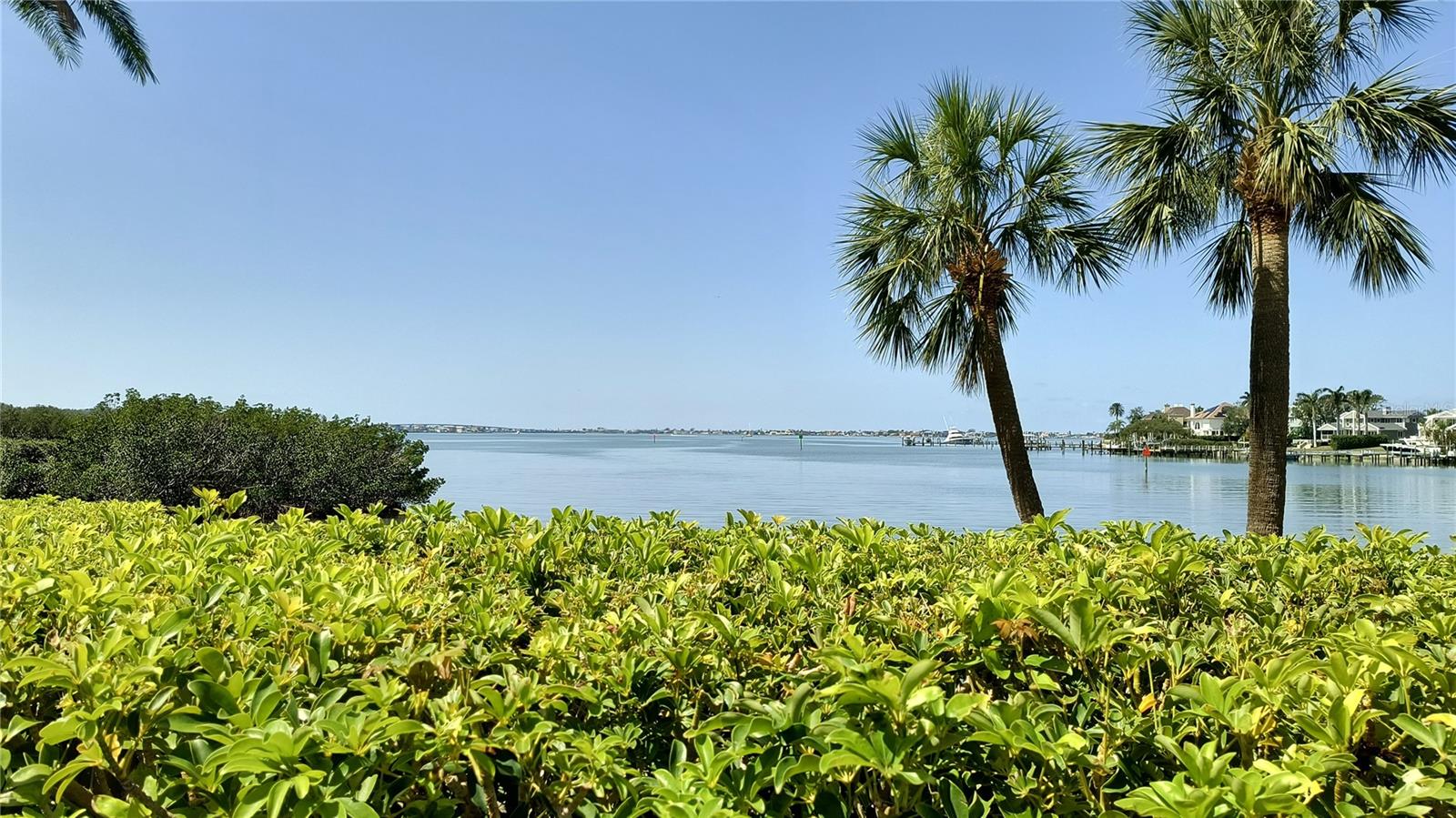 Home in BELLEAIR — photo 14