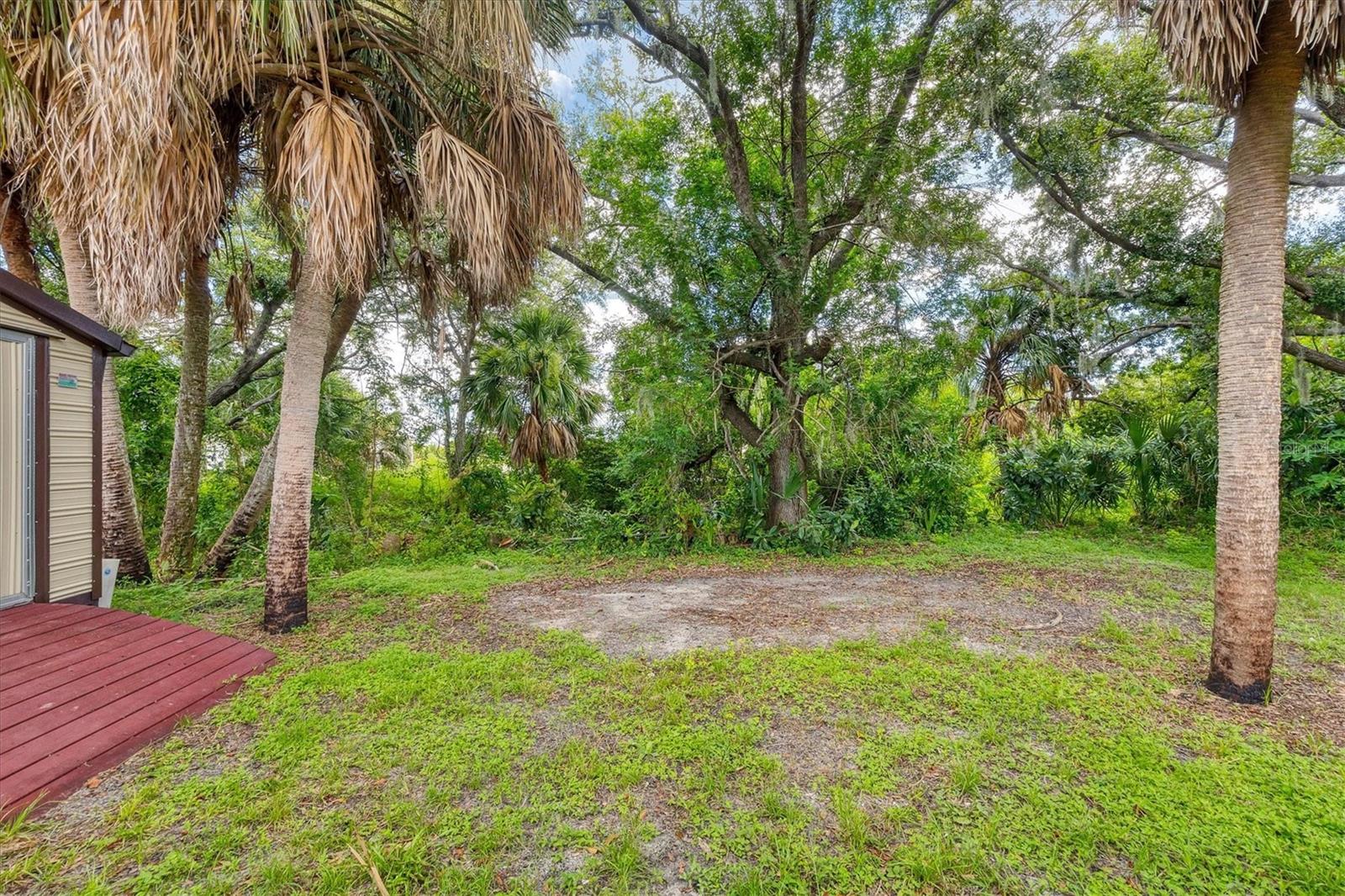 431 SEVILLA ST — photo 33