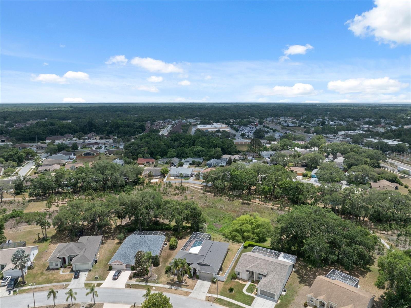 9104 WATER HAZARD DR — photo 53